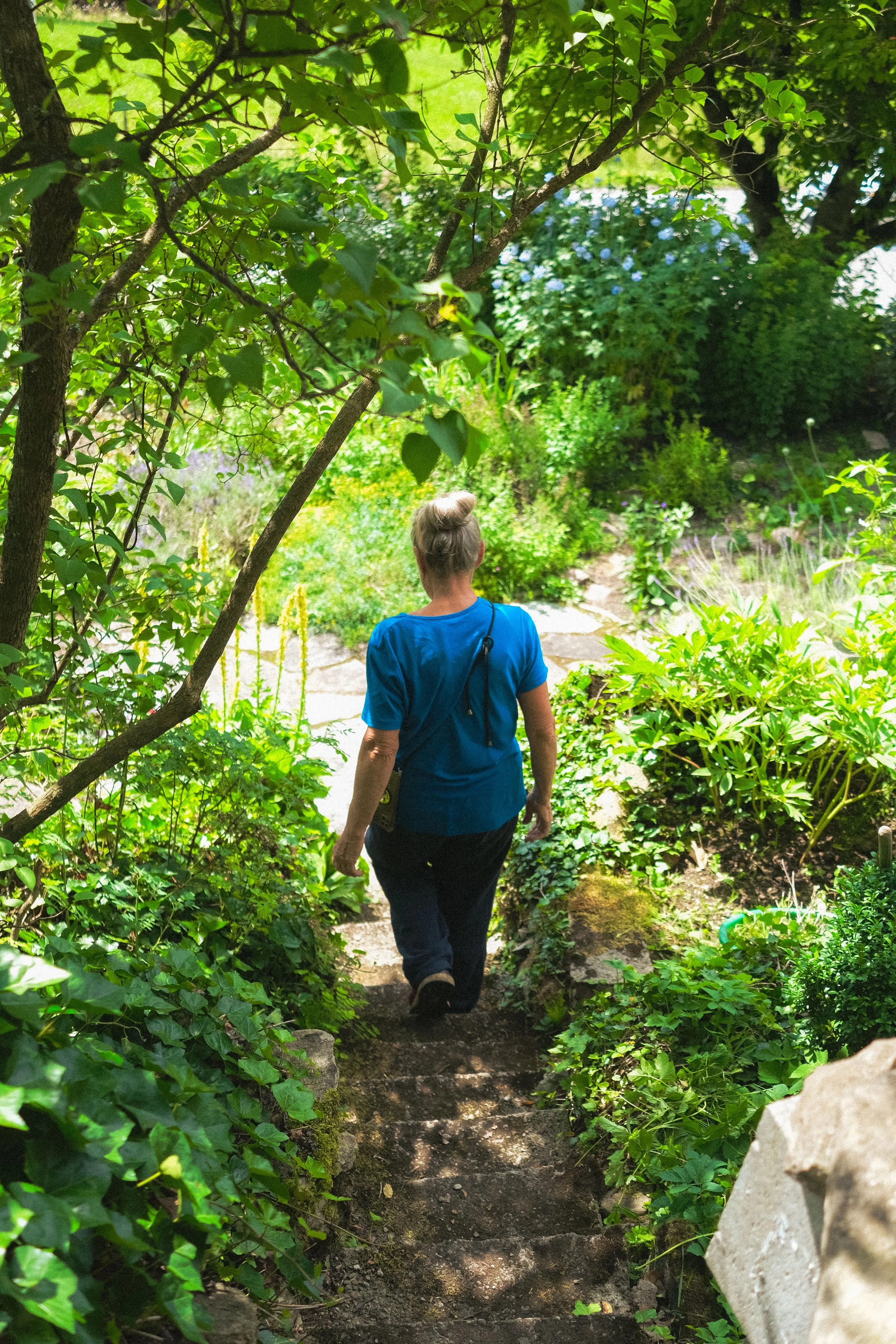 Brigitte walks down the stone steps into her lower garden, with shade and sunlight fluttering upon the path.