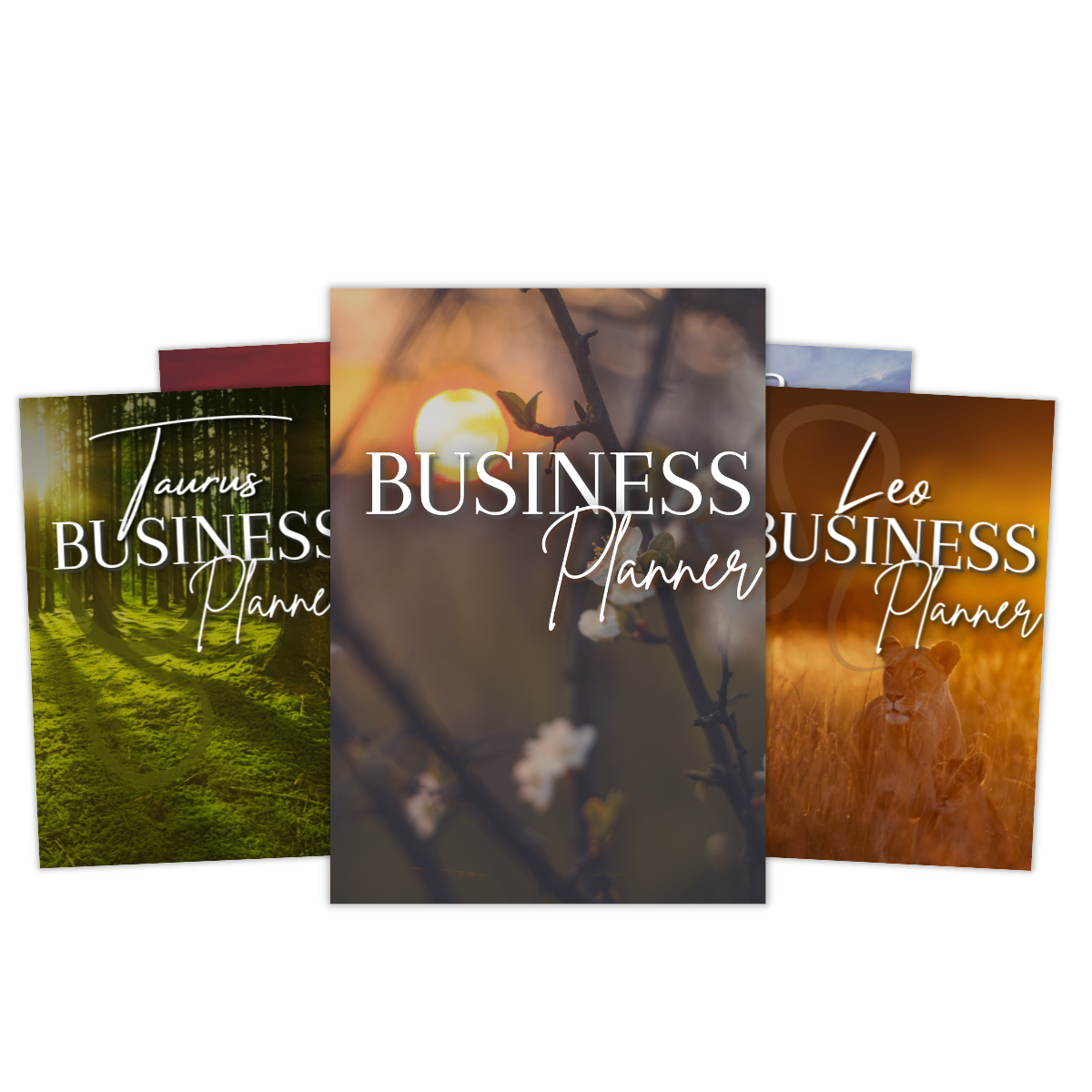Zodiac Business Planners for Woman Entrepreneur