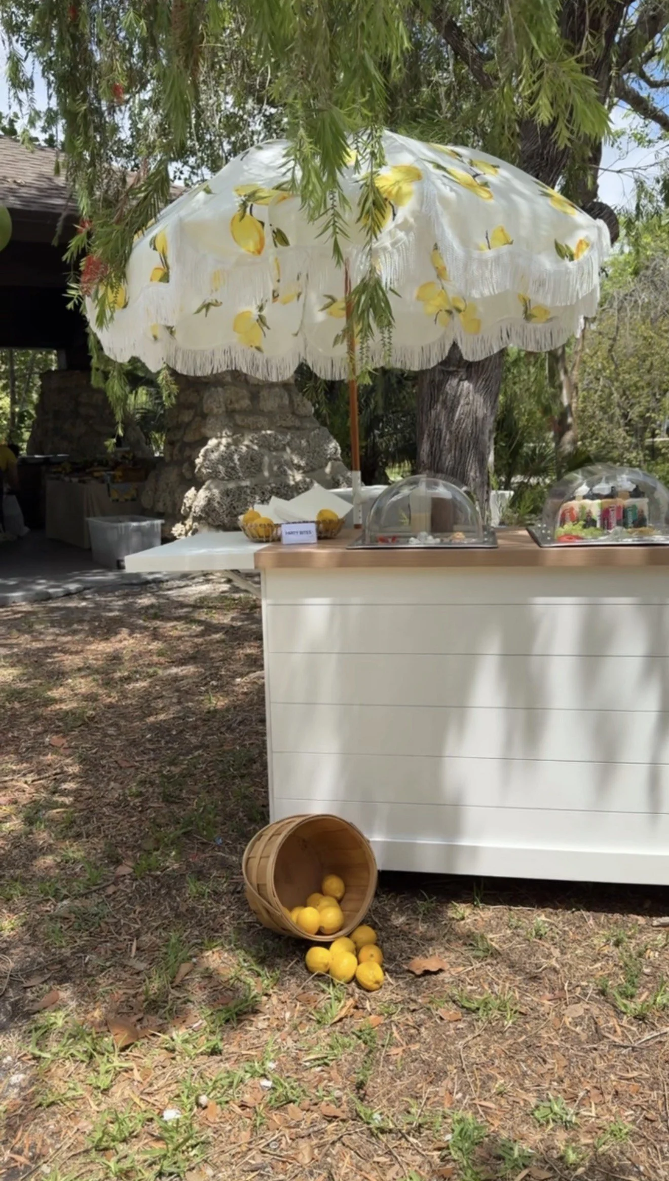 Outdoor lemonade stand with a yellow lemon-themed umbrella, a white counter with lemons, and a basket of spilled yellow lemons on the ground.