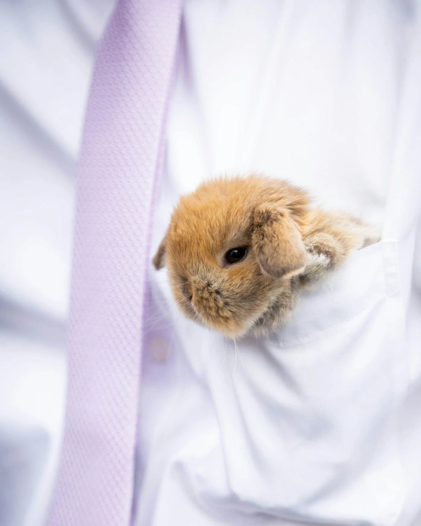 Pocket Thoughts - 6/28/24