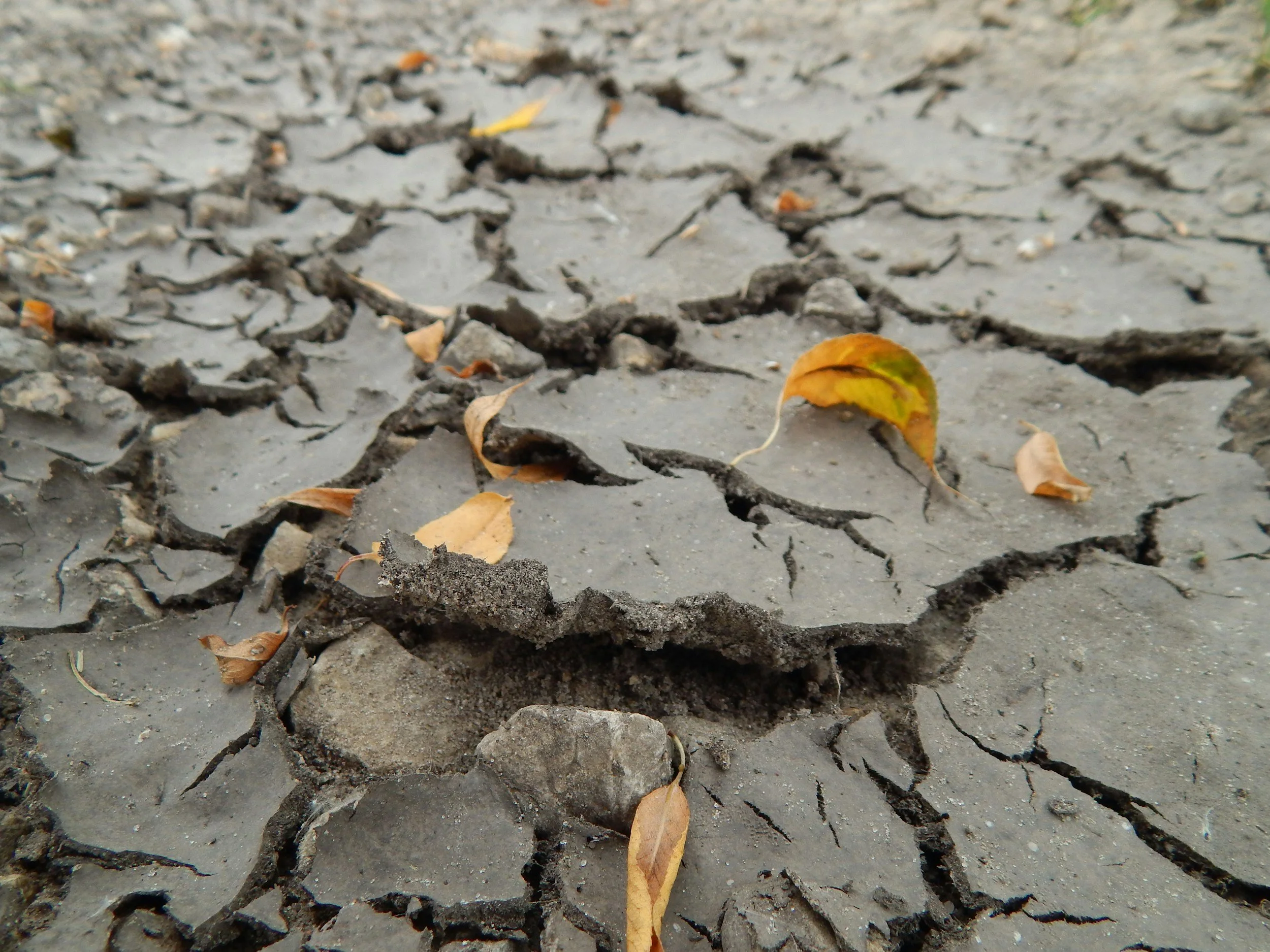 What Will Truly Satisfy?