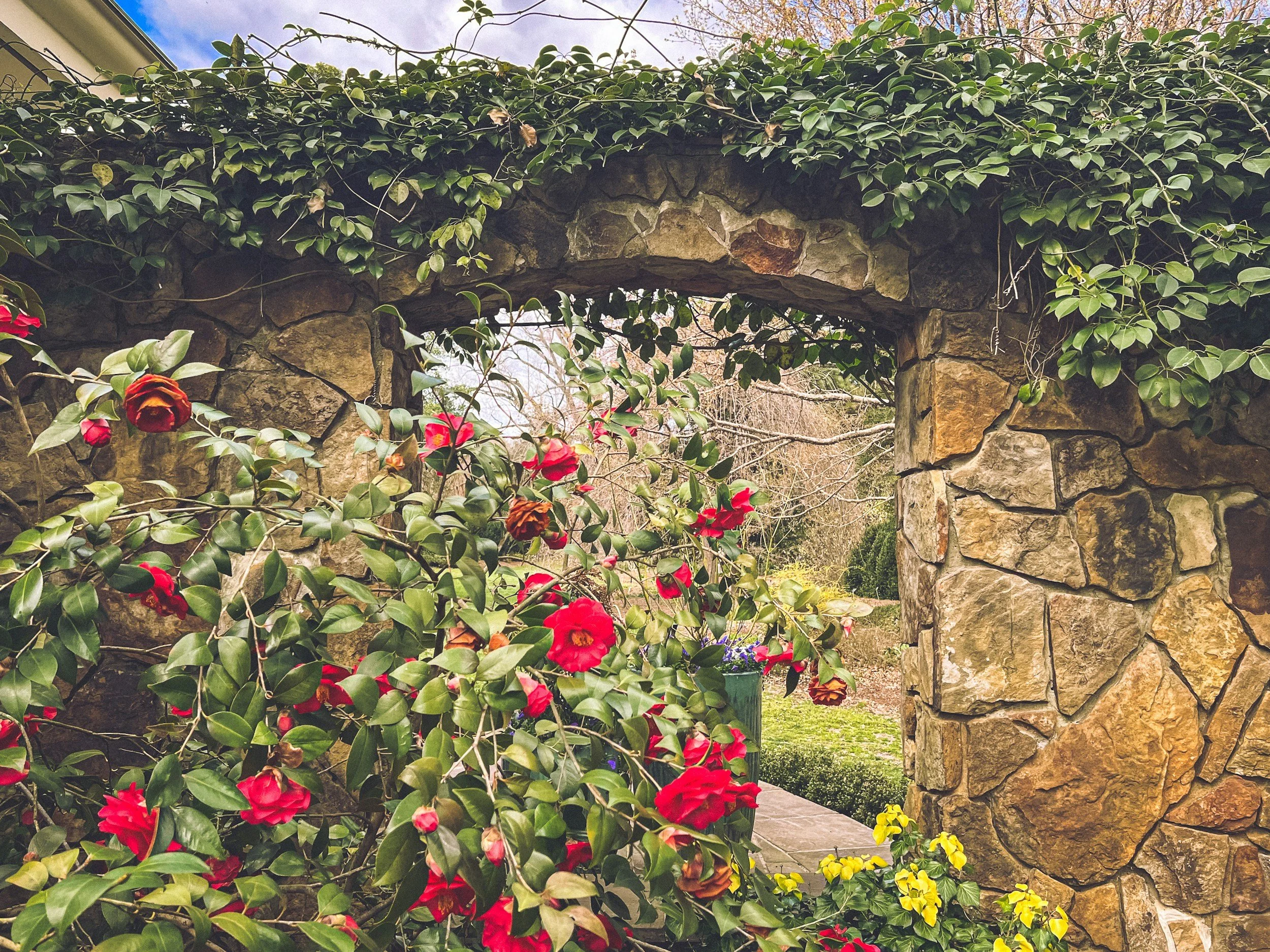 Pocket Thoughts - 3/13/26