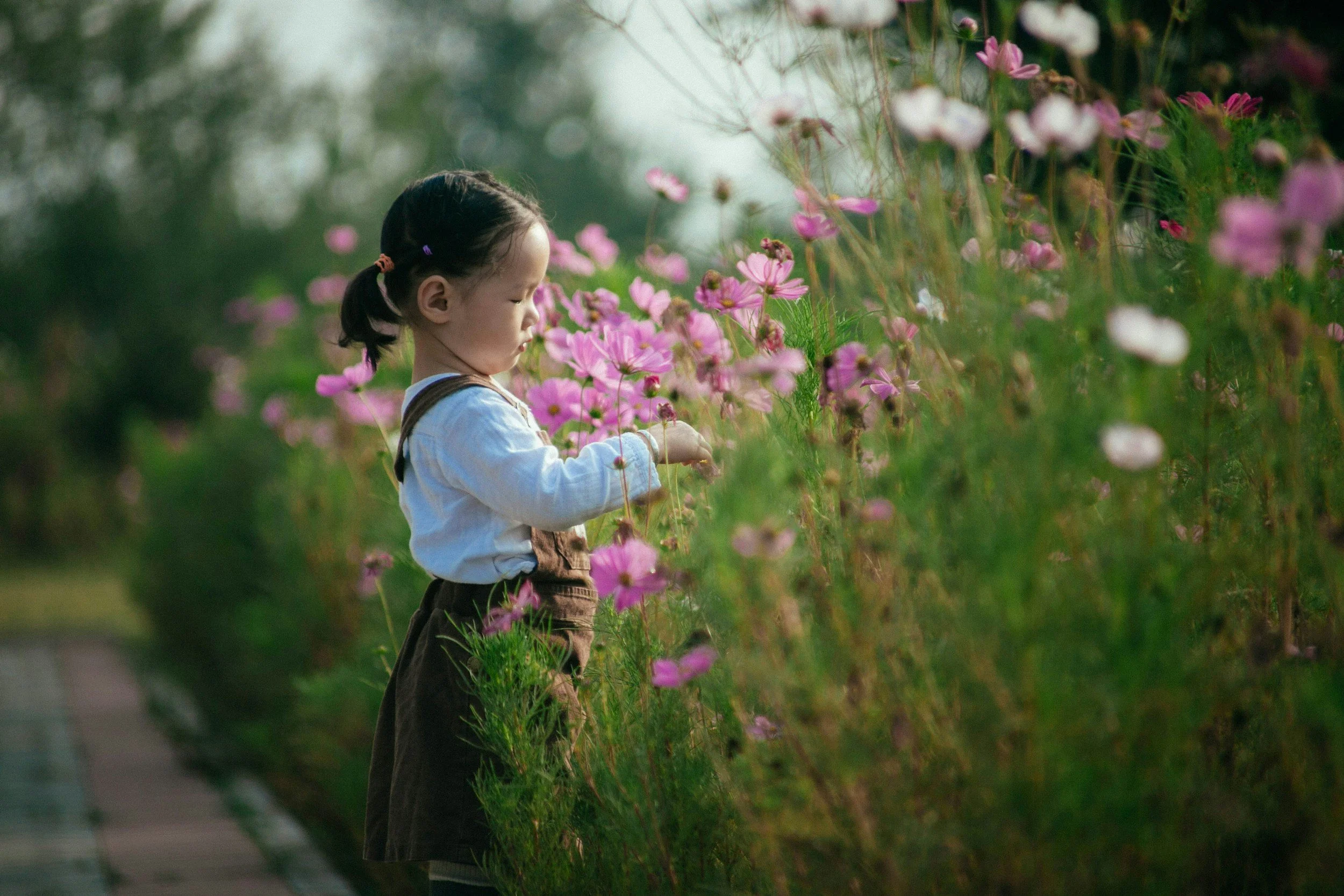 Pocket Thoughts - 3/20/26