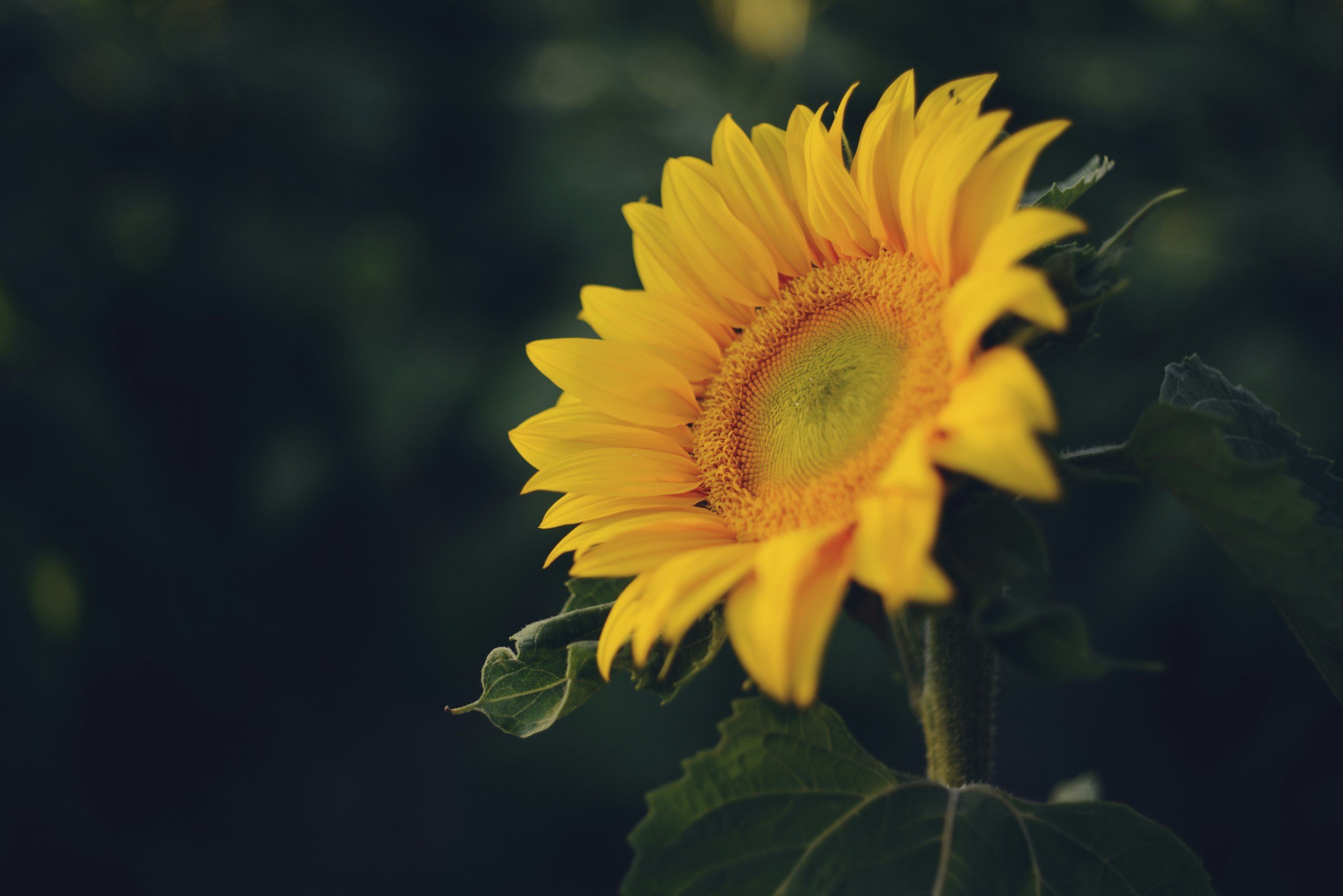 Pocket Thoughts - 3/27/26