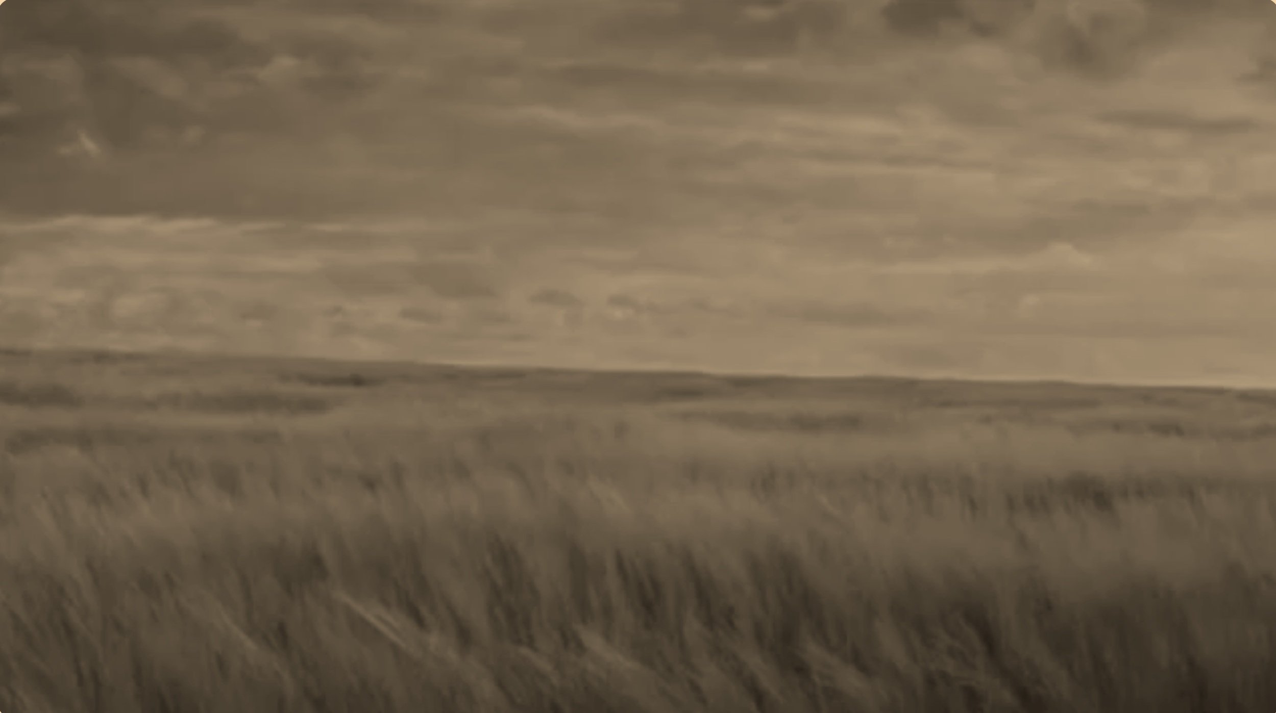 Screenshot 2025-02-27 103614.jpg