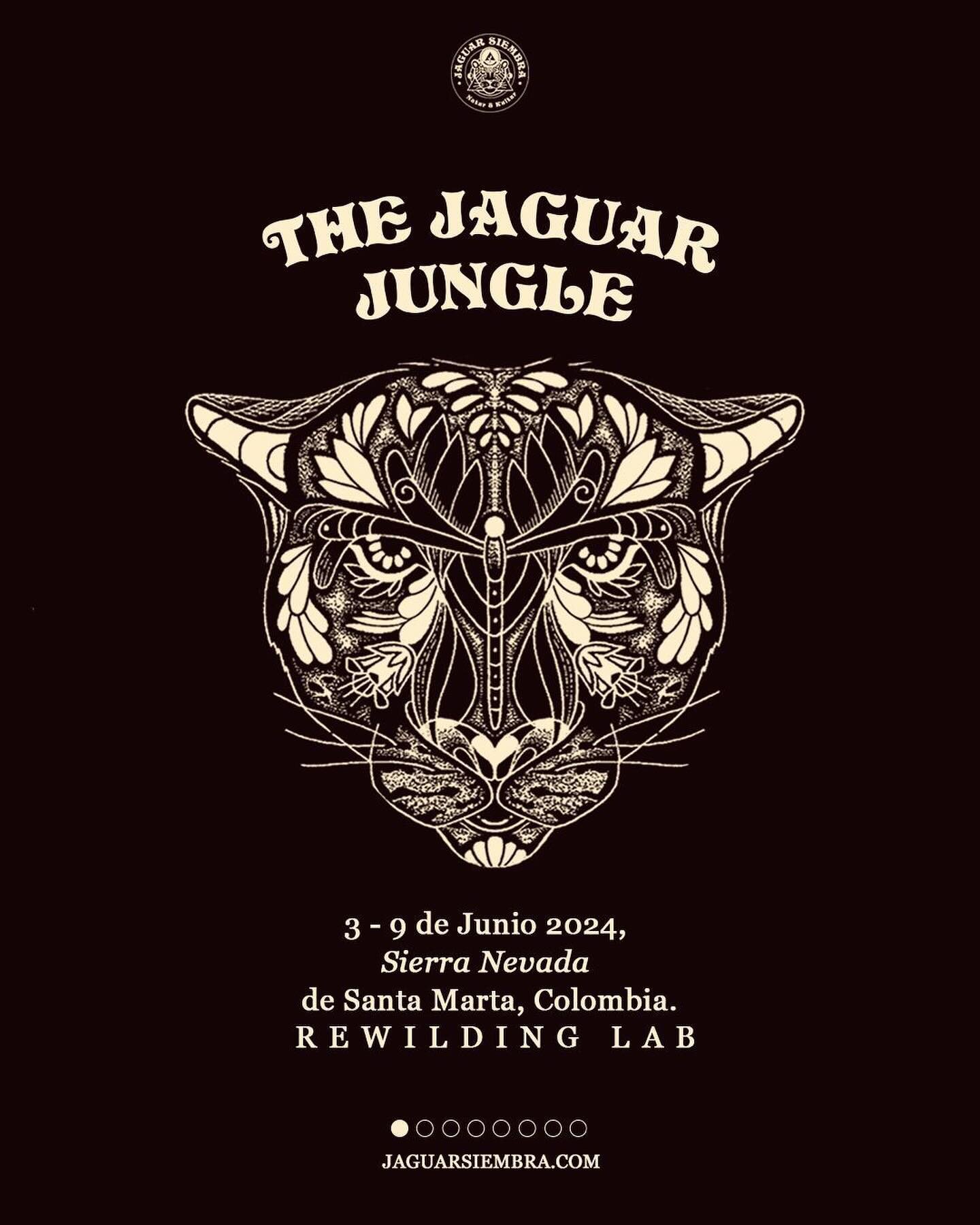 The Jaguar Jungle Lab Retreat
🌱
June 3 ~ 9, 2024 
🌱

@jaguarsiembra @jaguarsiembra @gitanadelmarbeachresort 

We are happy to announce the first round of guests to the co-creative Lab &amp; Retreat in June, a special gathering at the Heart of the W