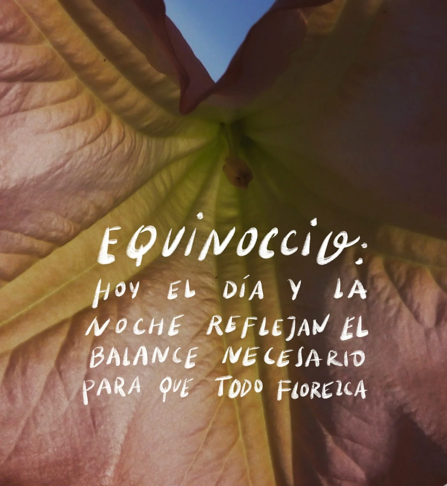 🌕Equinoccio🌑
Hoy el día y la noche tienen la misma duración en todos los lugares del mundo porque los dos polos de la tierra se encuentran a igual distancia del sol.
Esto pasa sólo dos veces al año marcando el inicio a