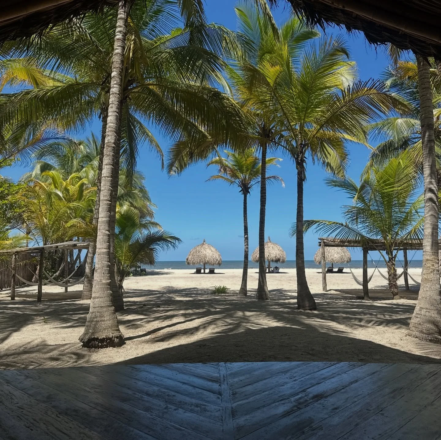 ~ El caf&eacute; en la ma&ntilde;ana con los pies en la arena ~ 
~ Los besos del sol ~ 
~ El sonido de las olas ~ 
Los visitantes inesperados ~ 
~ El aroma del mar en el aire ~ 
~ El sol, la luna y las estrellas ~ 

La mente en calma y el coraz&oacut