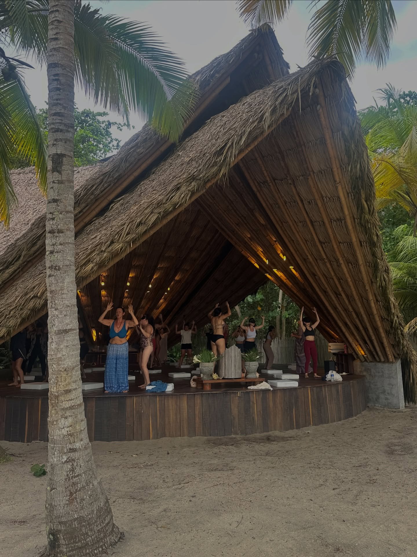 La revelaci&oacute;n c&oacute;smica se manifiesta al abrirte a 

Respirar~ bailar ~ soltar ~ ser t&uacute; 

~ Morir para volver a renacer ~ 

Gracias a todas las almas que atendieron el llamado de @almayogui  y @cassetteart a encontrarse en este m&a