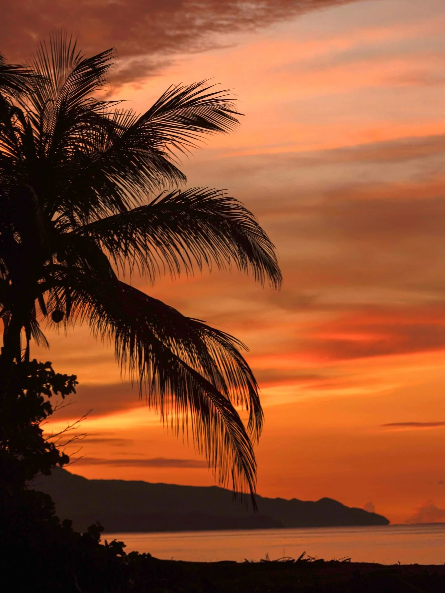 Wild Words ~ Wild Souls who choose to write their own stories &mdash; stories of devotion to themselves.
Between sunsets and sunrises, breathing and reconnecting, words became medicine and movement turned into prayer.

In the light of the sun, in the