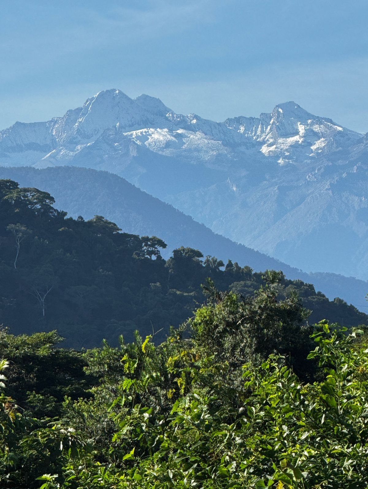 🗻 D&iacute;a Internacional de las Monta&ntilde;as 🗻

Vivimos en una cadena monta&ntilde;osa que nace casi al borde del mar y asciende hasta los picos nevados, donde el hielo besa las nubes: El Coraz&oacute;n del Mundo

En sus laderas caben mundos e