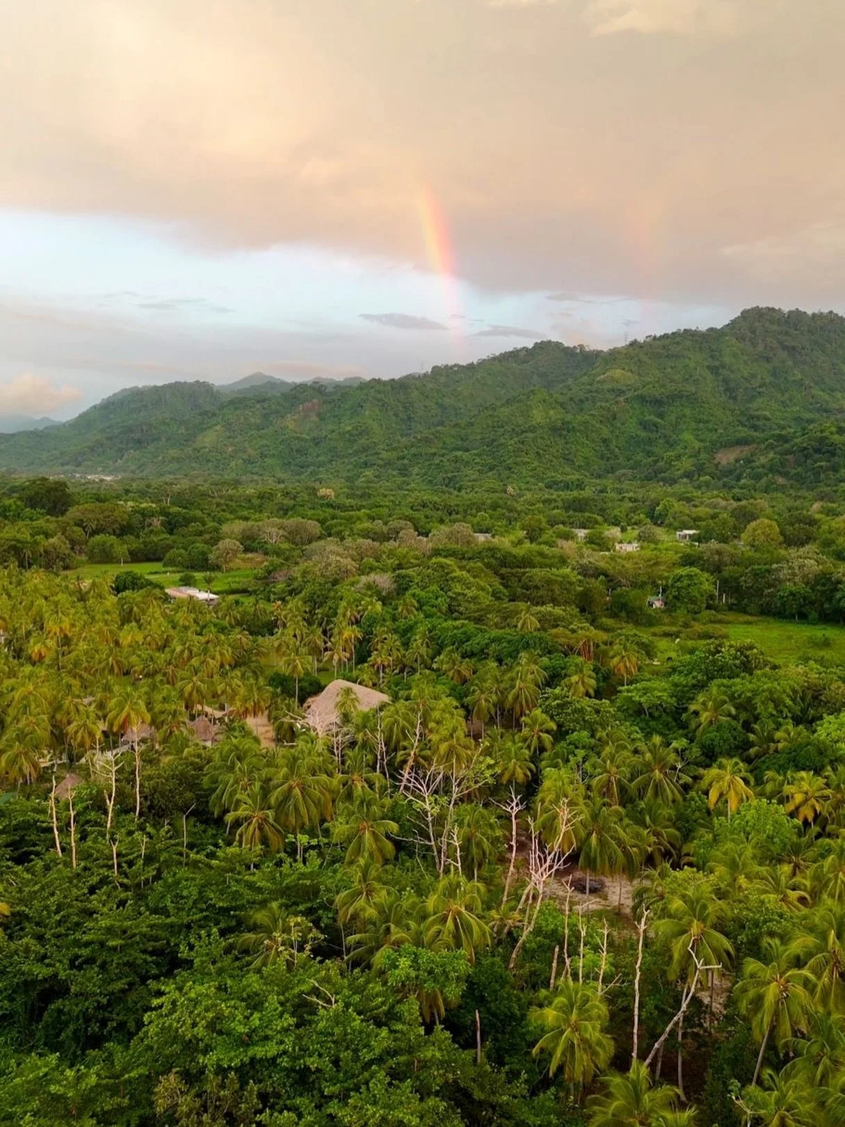 Welcome 2026 ✨

Blessed by these beautiful mountains, palm trees, rainbows, and the sea 
a little piece of paradise waiting for you 🌊

Upcoming availability 2026

✨ Regular Reservations ✨

January
7 &ndash; 20
25 &ndash; 31

February
8 &ndash; 13
24