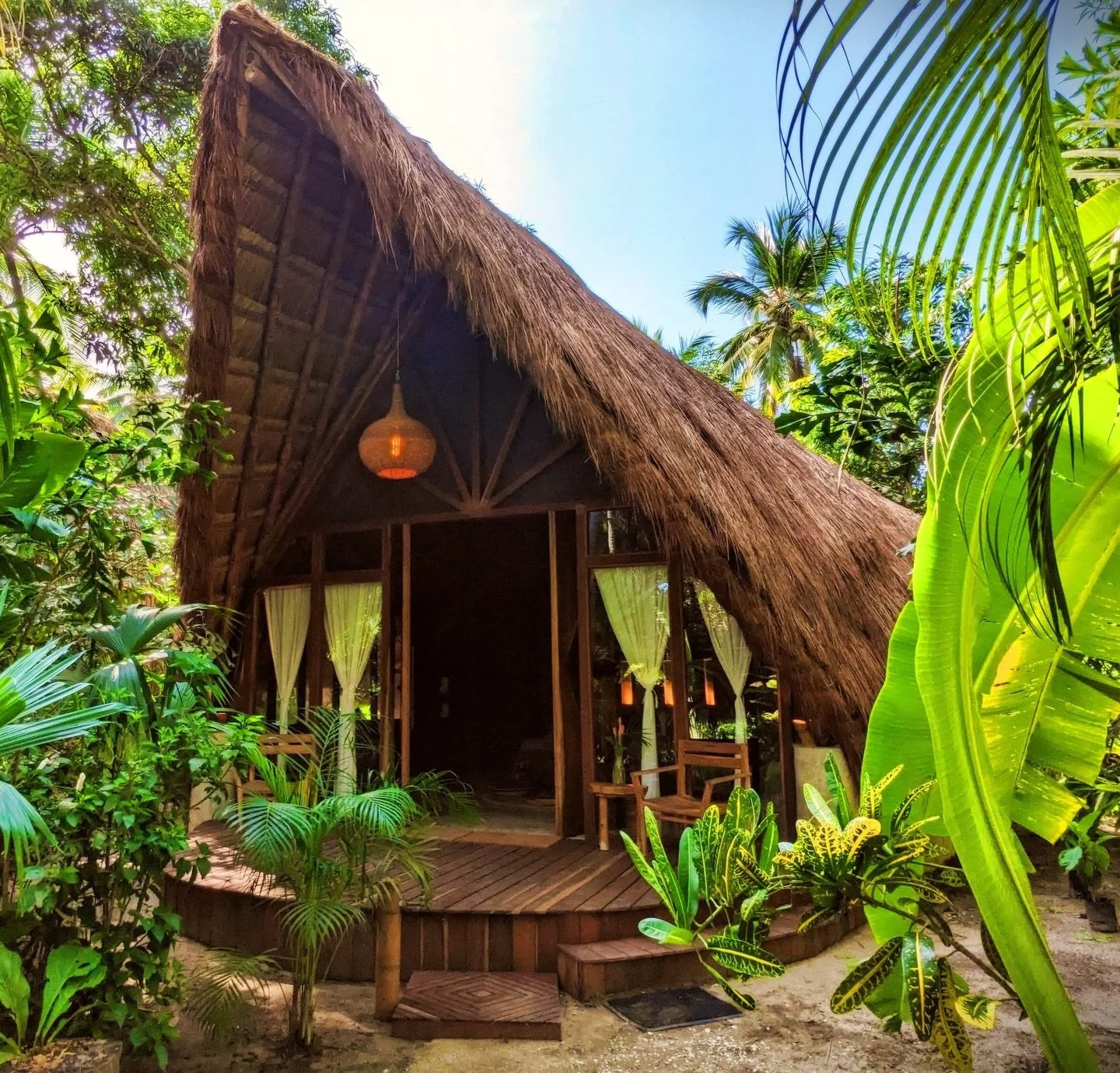 Guardianes y amantes de la naturaleza ✨

Entre monta&ntilde;as, &aacute;rboles, flores tropicales y el agua salada, la vida crece en espiral desde la tierra, record&aacute;ndonos el ritmo sagrado de todo lo que existe&hellip;

Nuestros hermanos mayor