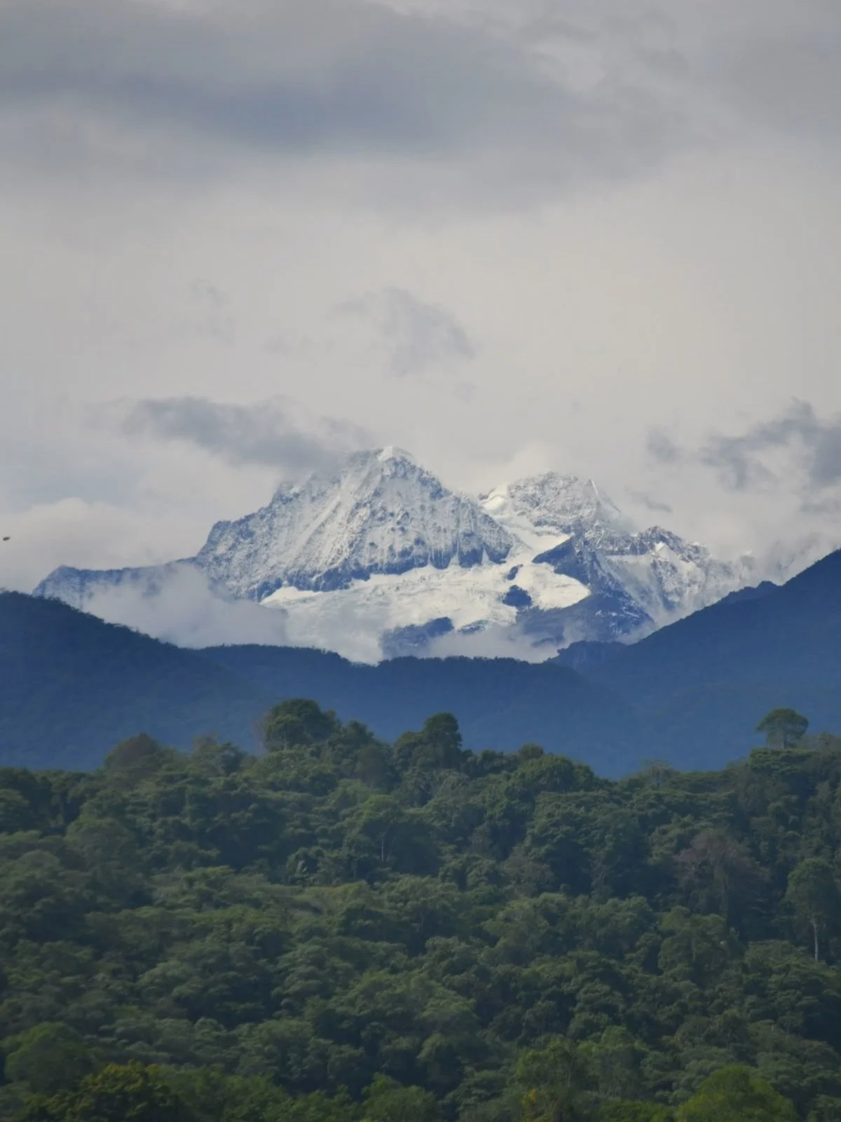 There is something truly magical about the Sierra Nevada ✨

A rare and sacred place where the sea and the palm trees meet the mountains&hellip; and just beyond, the snow. All ecosystems coexisting in perfect harmony, creating a natural sanctuary unli