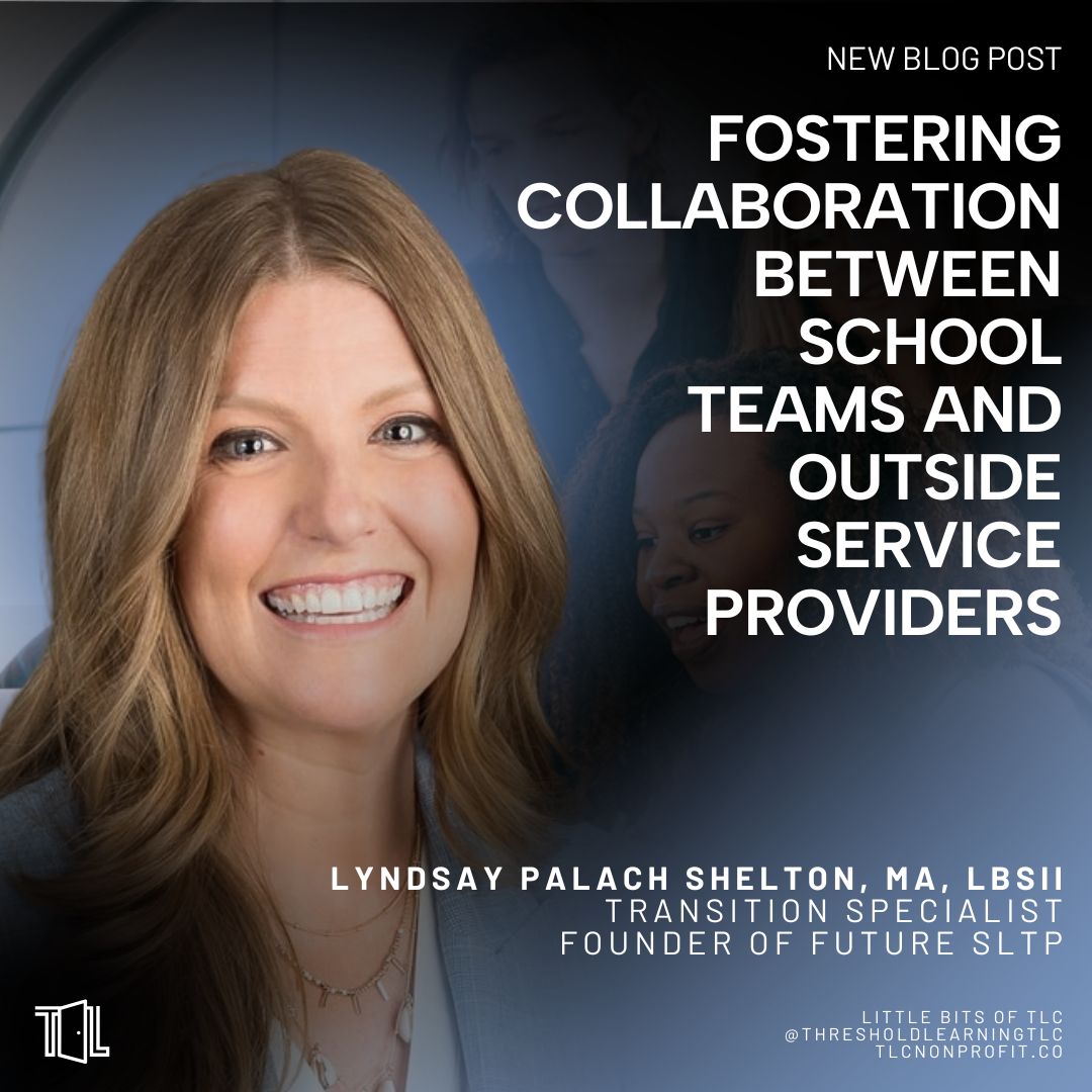 Fostering Collaboration Between School Teams and Outside Service Providers