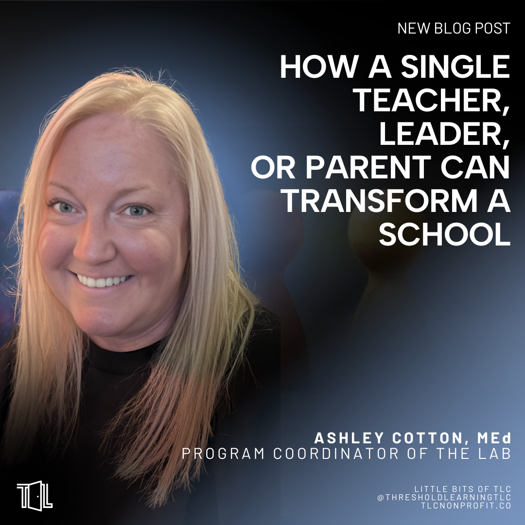How a Single Teacher, Leader, or Parent Can Transform a School