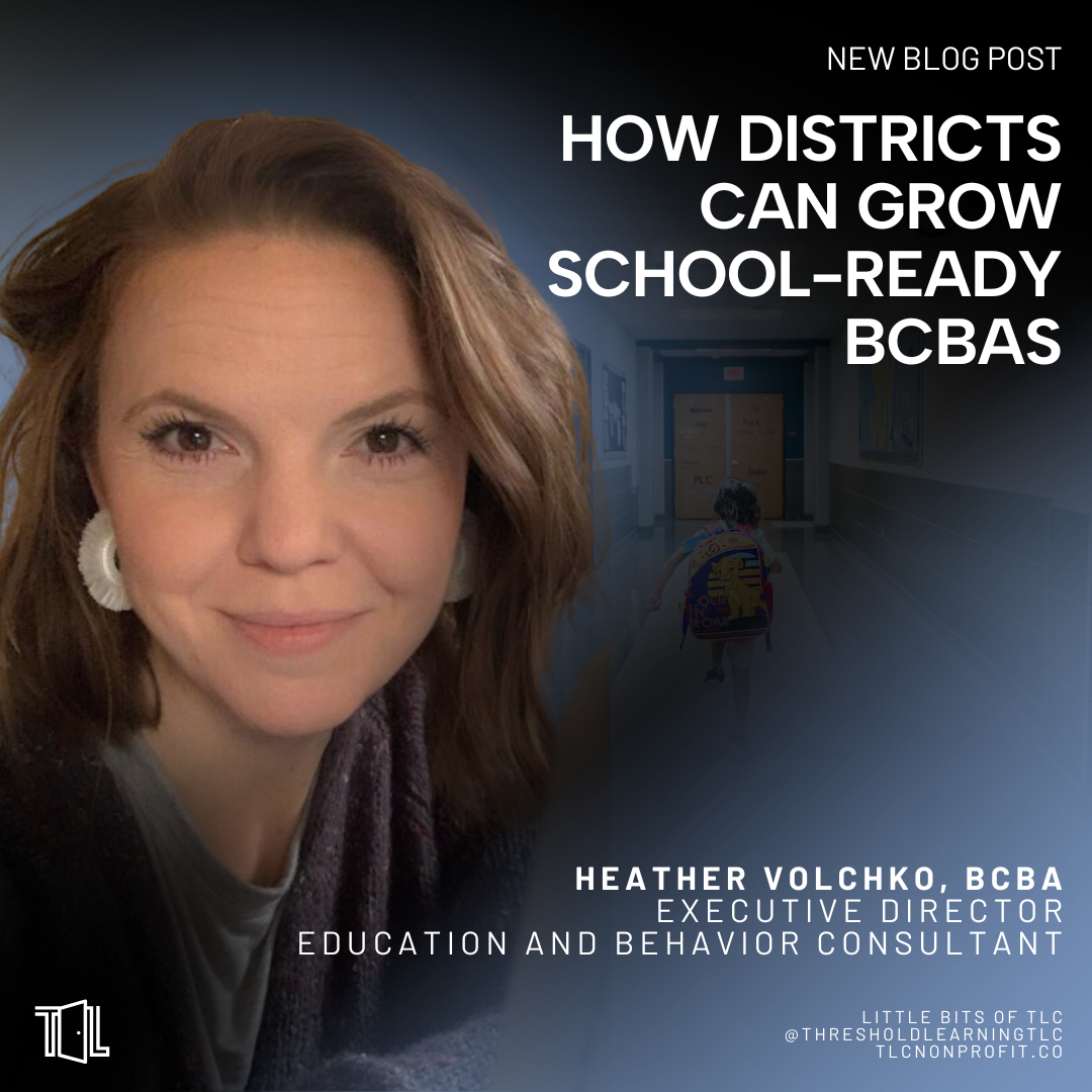 How Districts Can Grow School-Ready BCBAs