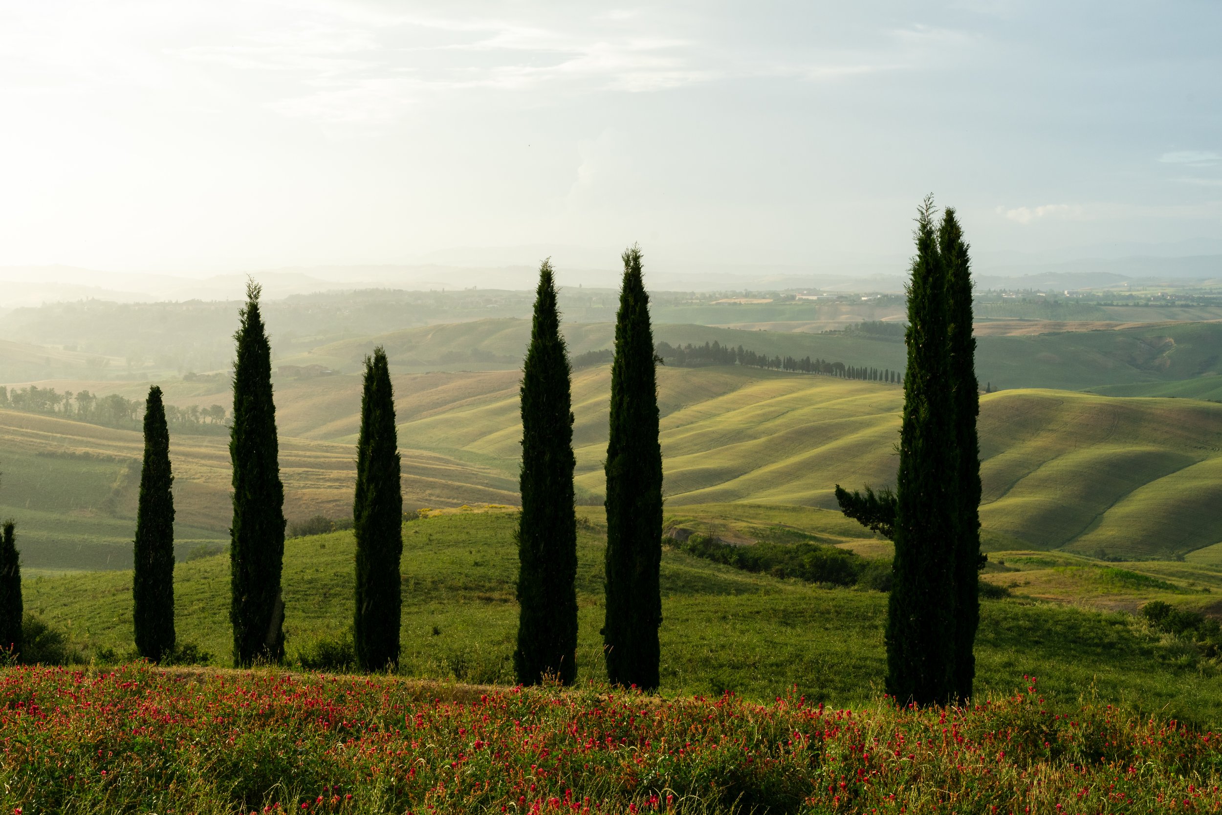 italy-48.jpg