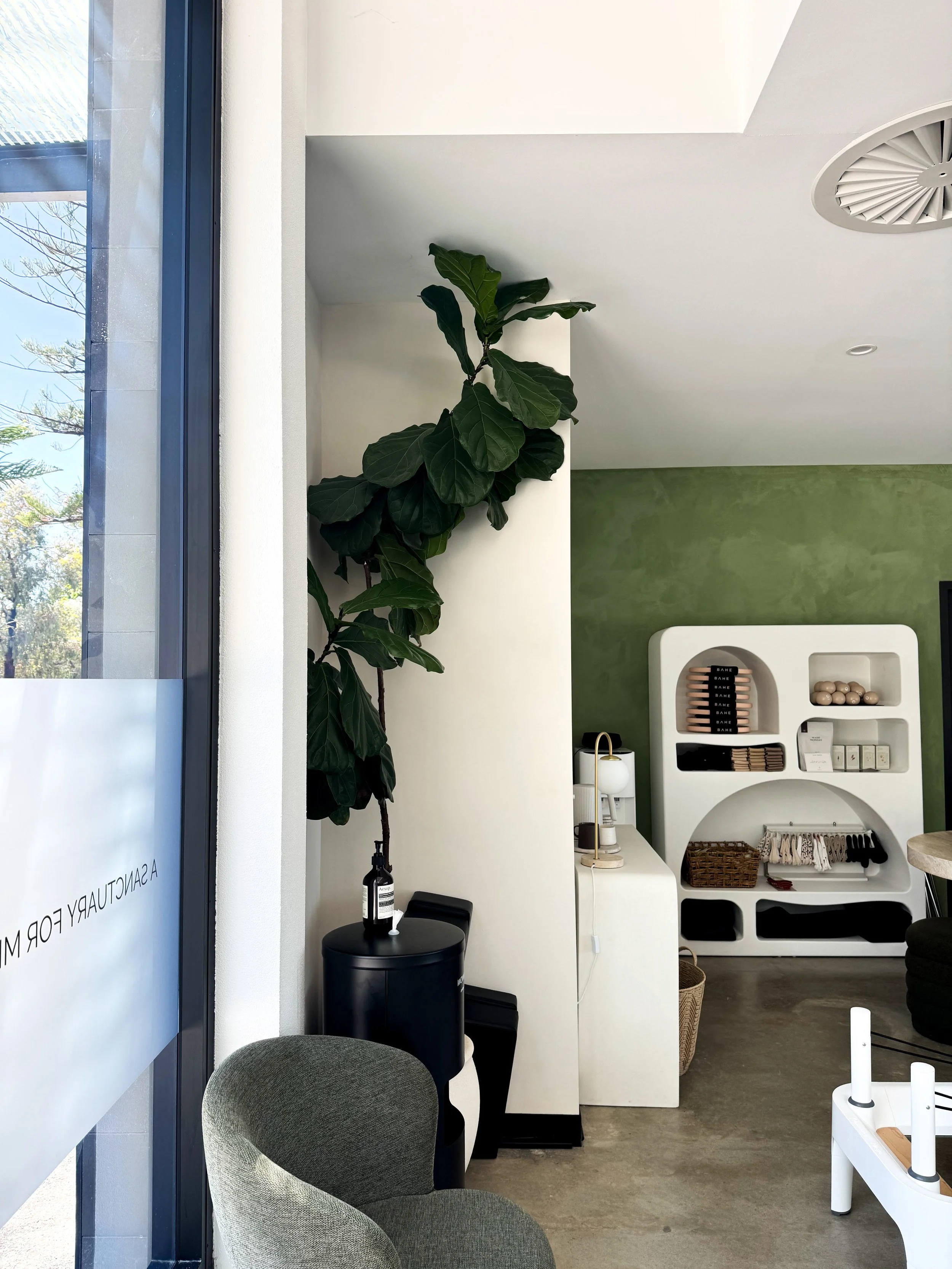 Interior of a modern Pilates studio with a large potted fiddle leaf fig plant, white shelving unit displaying decorative objects, and a green accent wall.