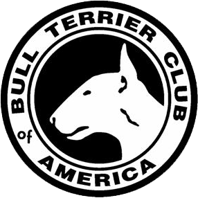 The Bull Terrier Club of America