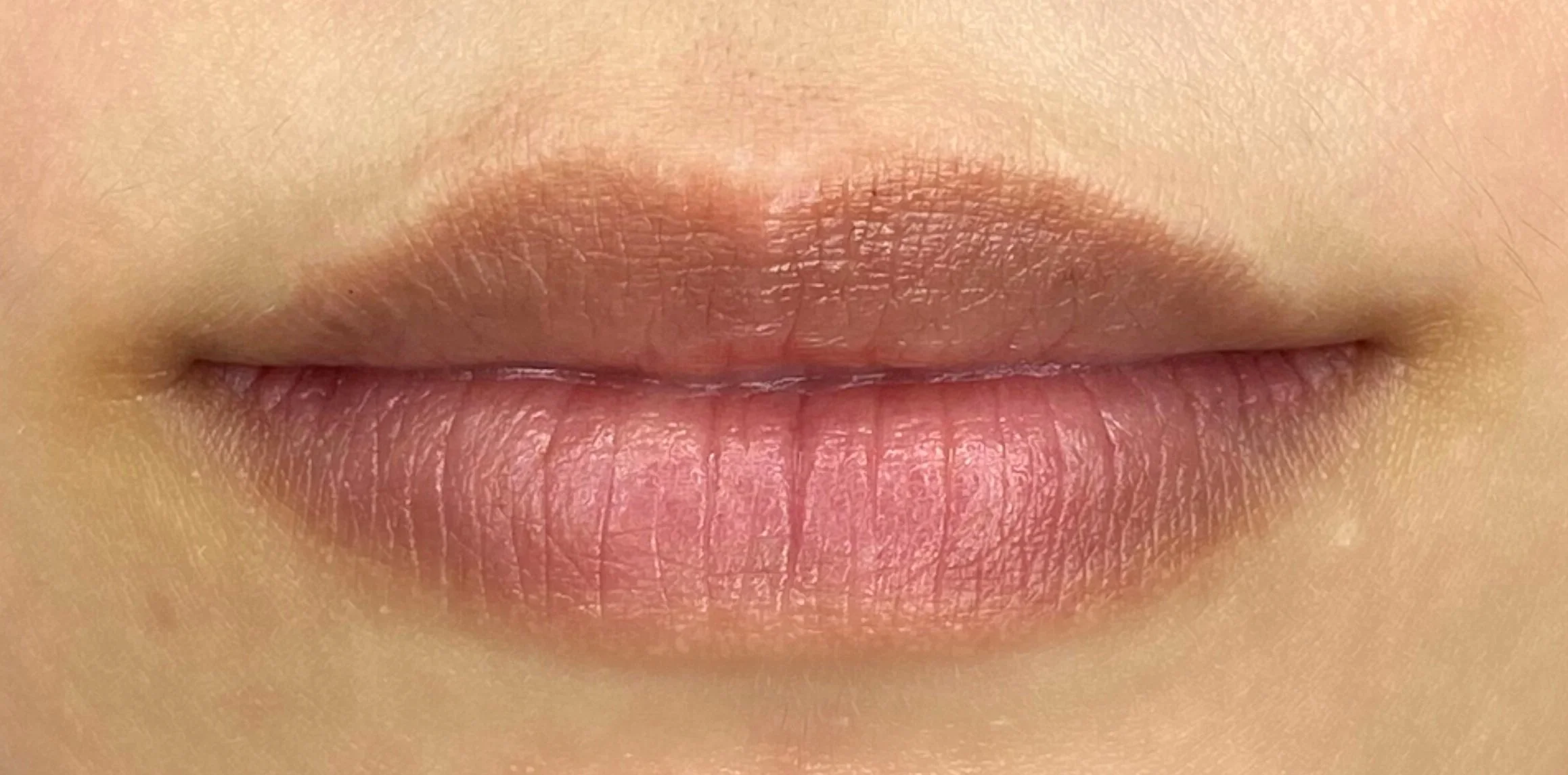 Close-up of a person's lips with neutral lip color.