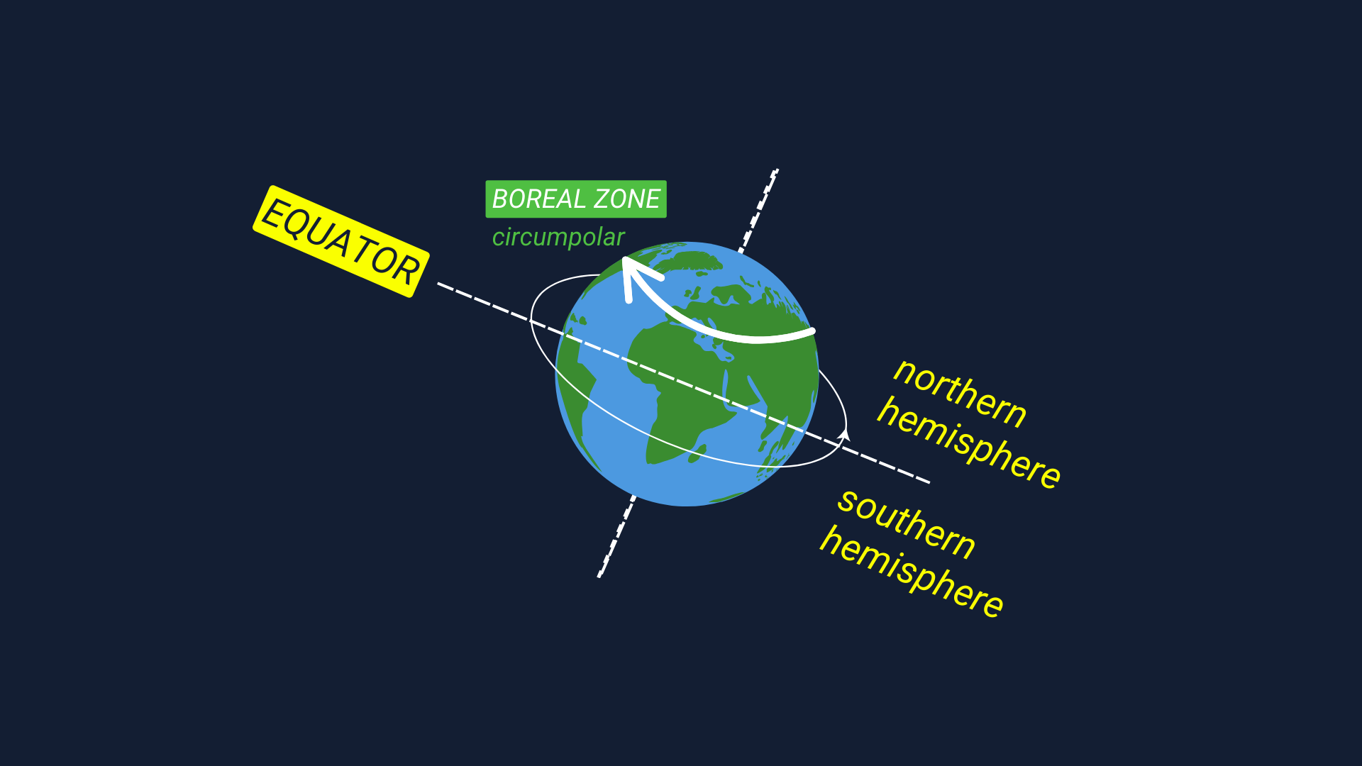 The equator is an invisible ring around the middle of the earth. The boreal is a zone of land and forests that wraps around a large part of the northern hemisphere. The southern hemisphere is below the equator.