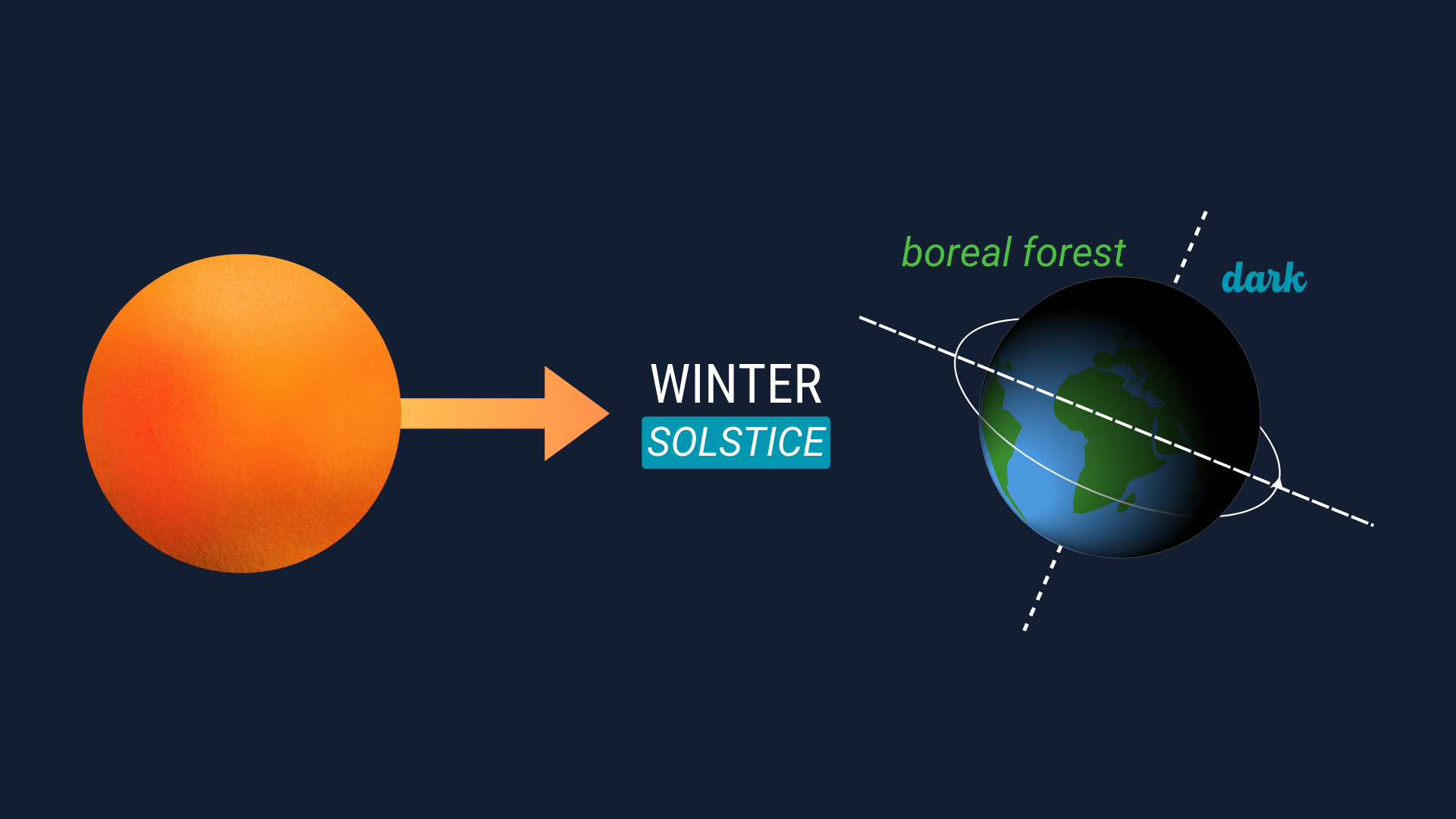 When the sunlight hits the furthest point below the equator it’s a winter solstice (December 22).
In parts of the boreal forest, there is almost 24 hours of total darkness (and frigid!!!) during this period. New Zealand is a good place to visit at t