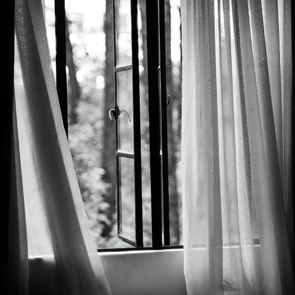 Here’s Another Amazing Blog Post