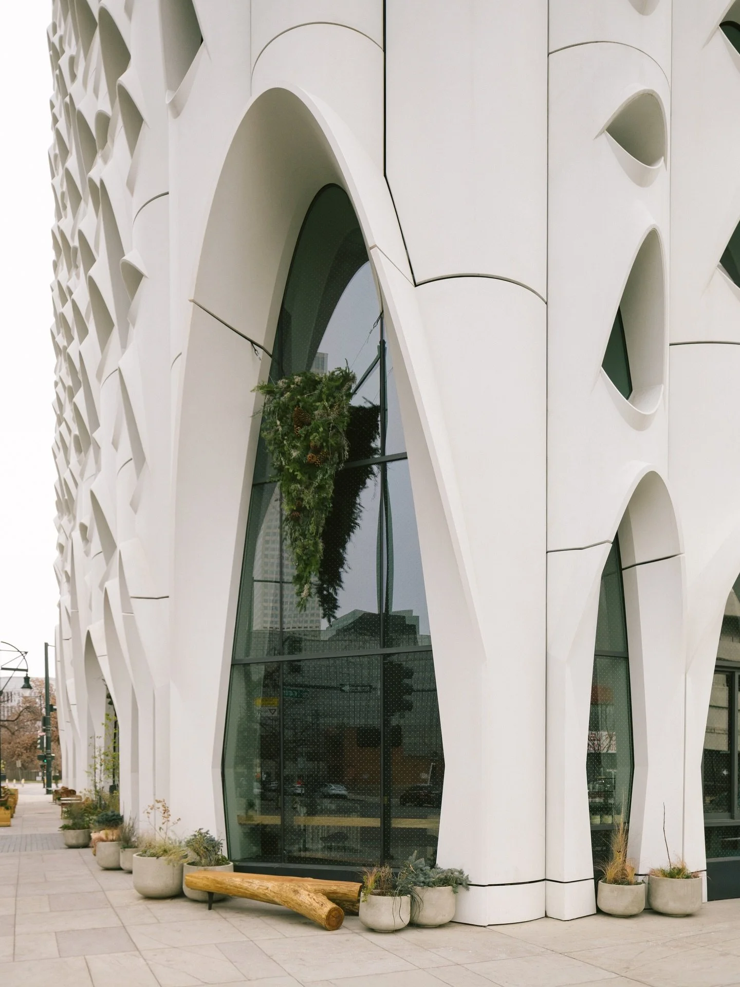 Holiday moments at @populushotel_denver by @buckley.houseofflowers 🎄💚