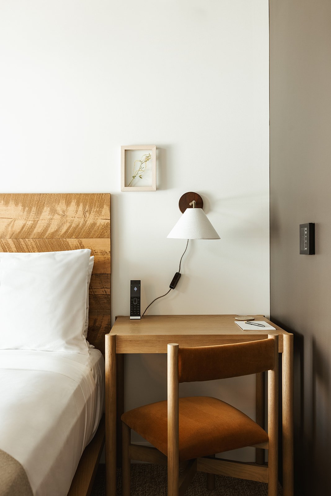 Populus-Grove Queen-004.jpg