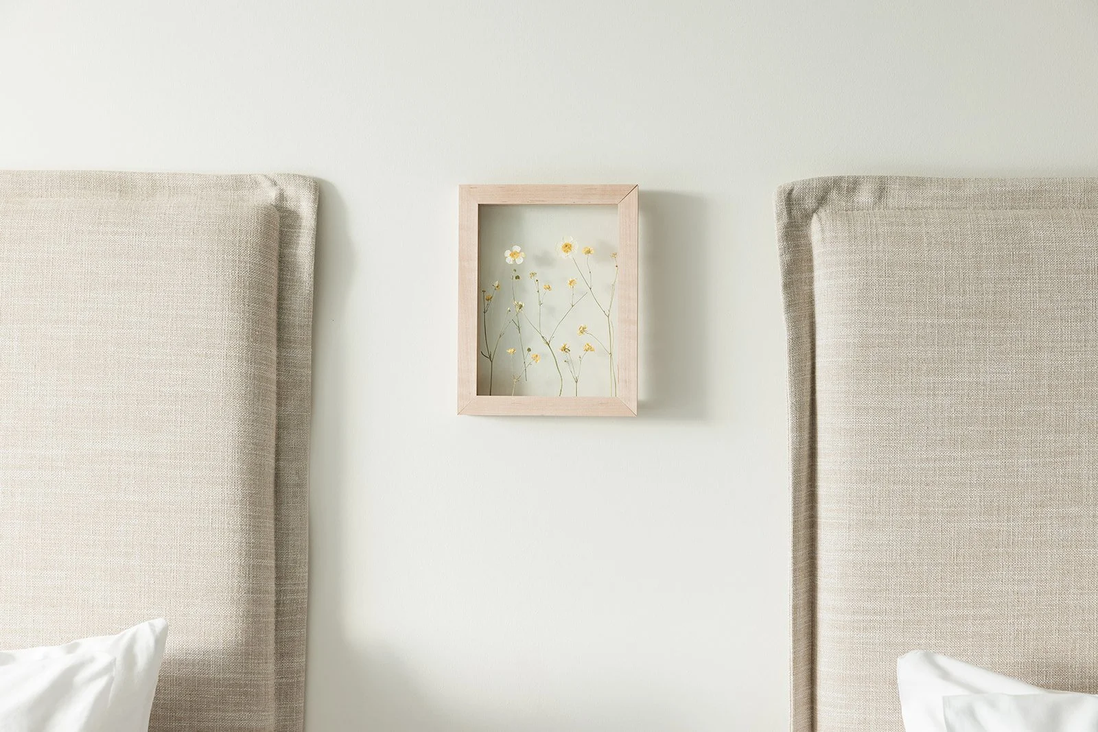 Populus Art-Pressed Flowers-001.jpg