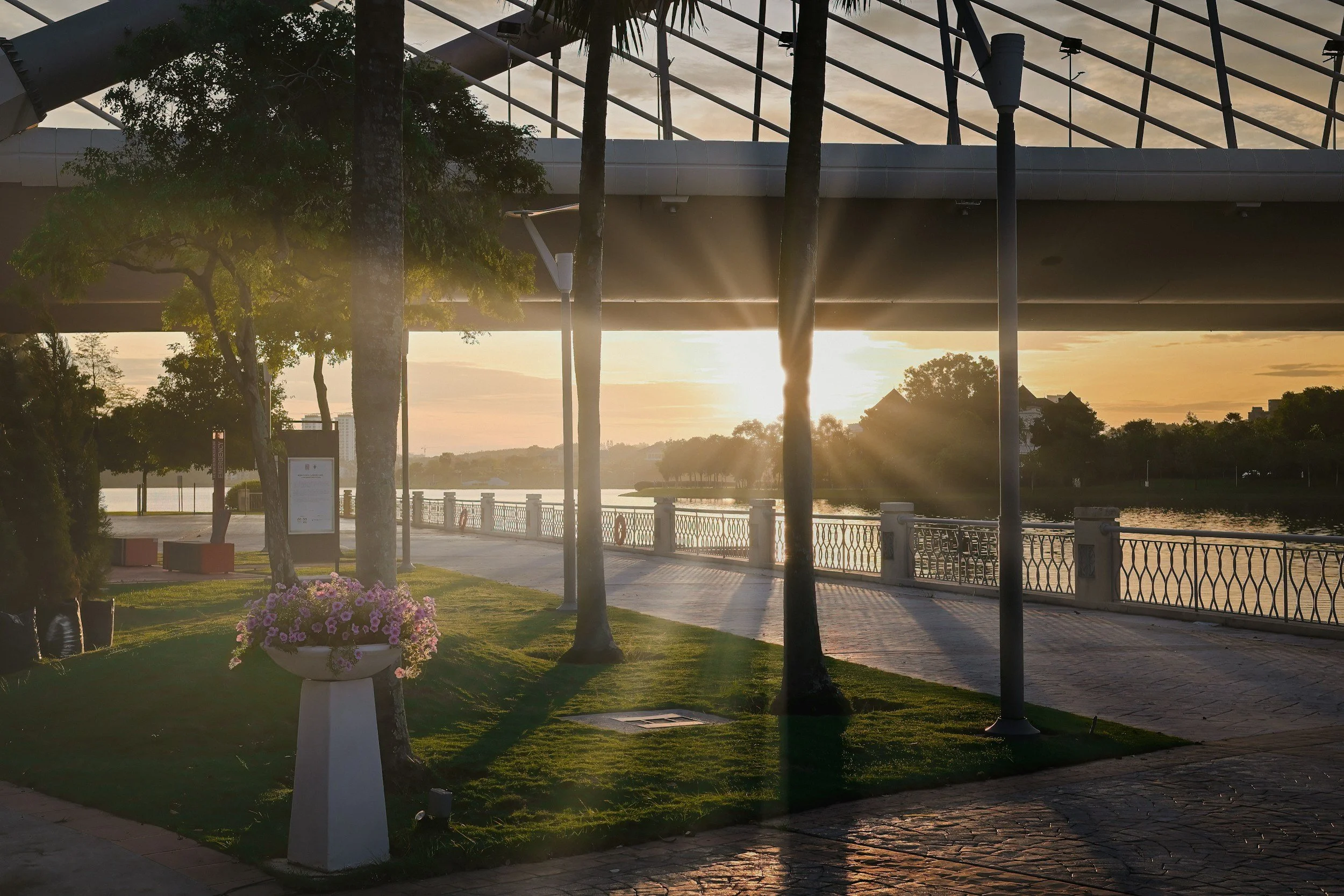 Wedding Photography at Waterview in Bicentennial Park, Sydney Olympic Park