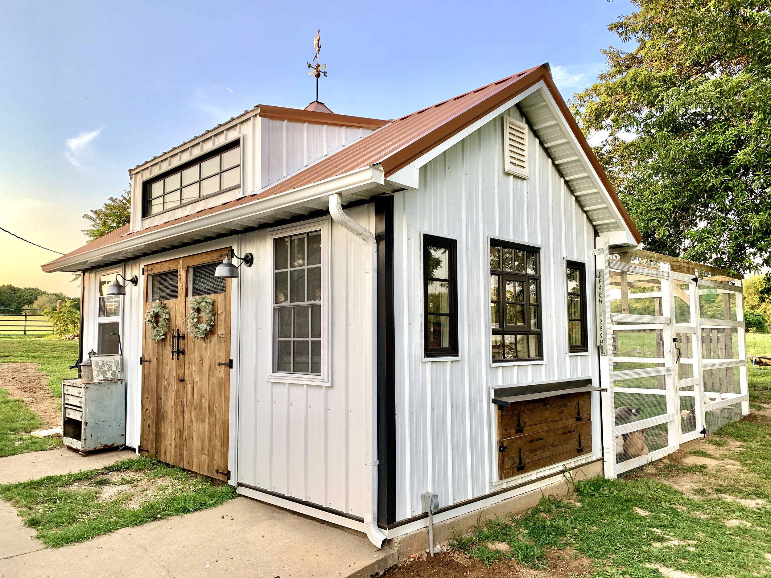 coop1-after.jpg