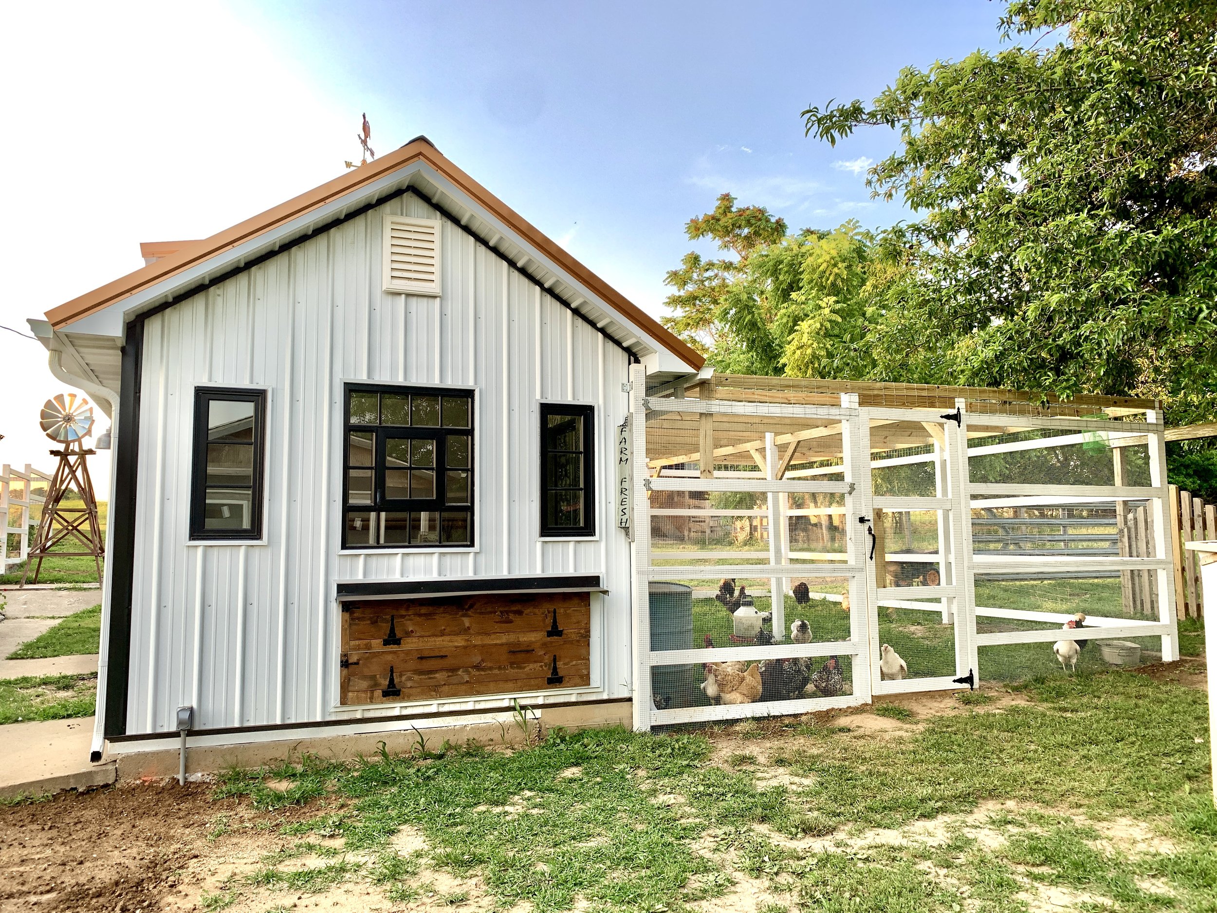 coop2-after.jpg