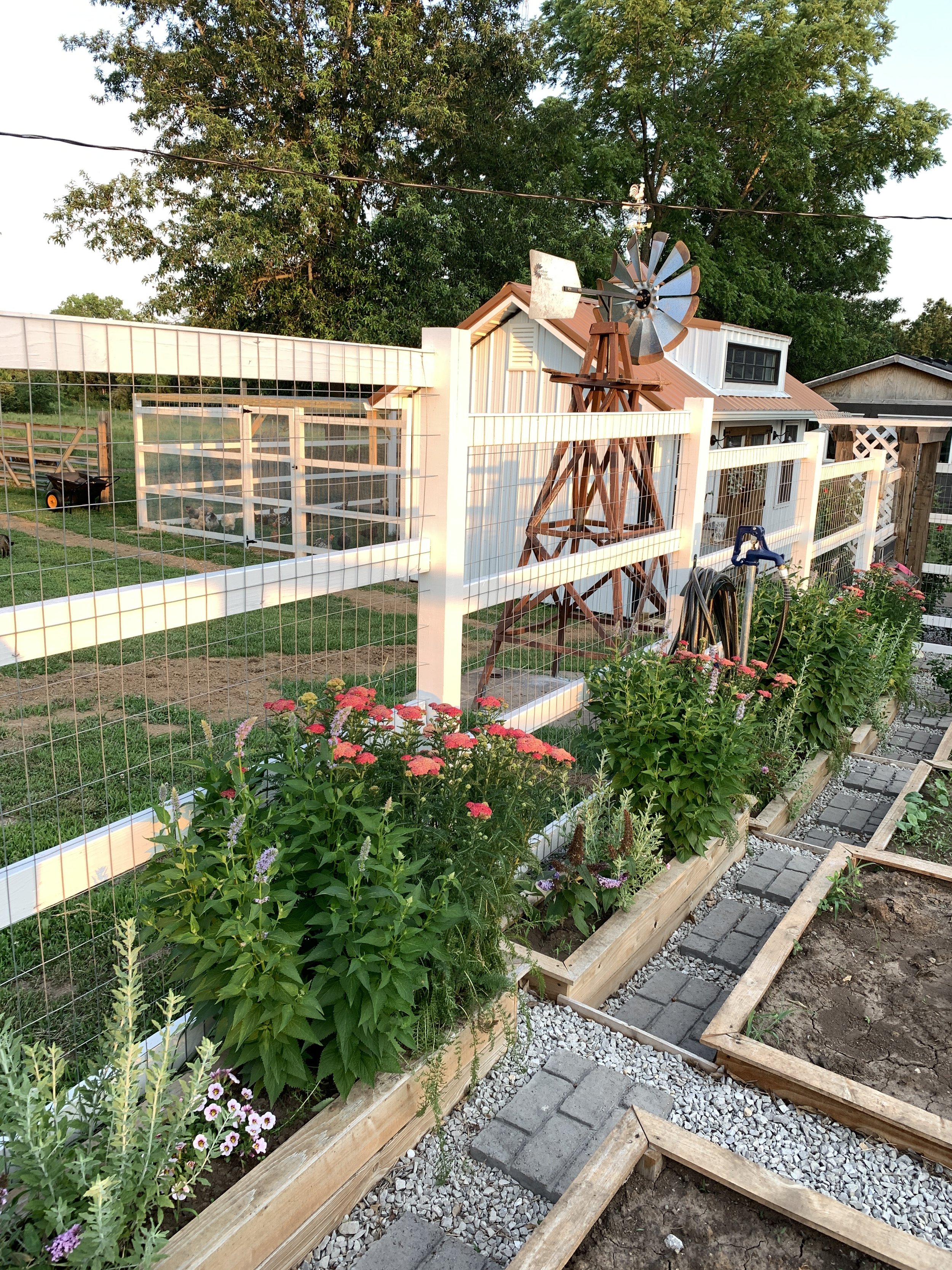 garden9-after.jpg