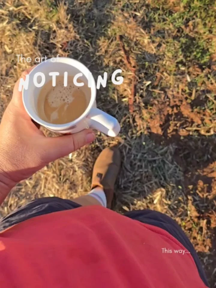 Sometimes you have to slow down and pay attention to the little things around you.

Did you know that studies show that paying attention to the small things can lower stress, boost creativity, and help you make better decisions? Pretty awesome, hey! 