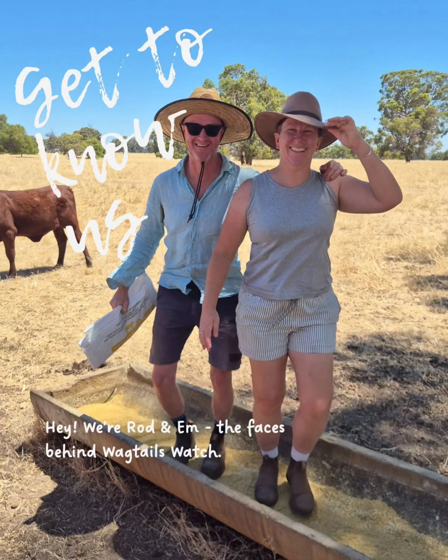 Hello! Happy New Year (I&rsquo;ve decided it&rsquo;s ok to say this for the whole of January)

It felt right to kick the new year off with a little re-introduction to us. So here goes!

We&rsquo;re Rod and Em &mdash; two city slickers who decided to 