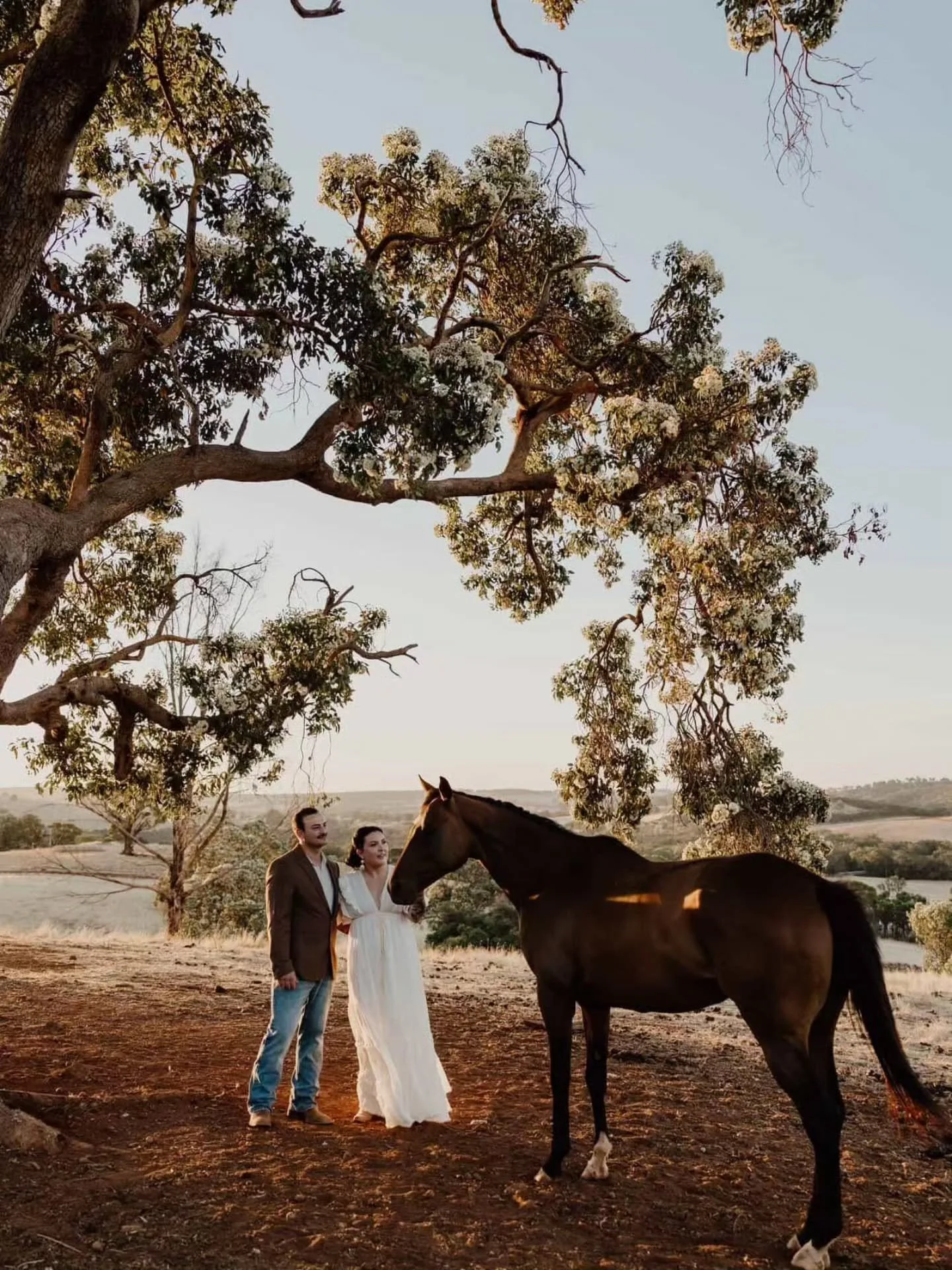 Last week we were thrilled to welcome the most beautiful couple to Wagtails Watch for our very first elopement 🩷

We were truly humbled that Kourtnee and Will chose to have their special day with us. It was small, intimate and so full of love. 

I a