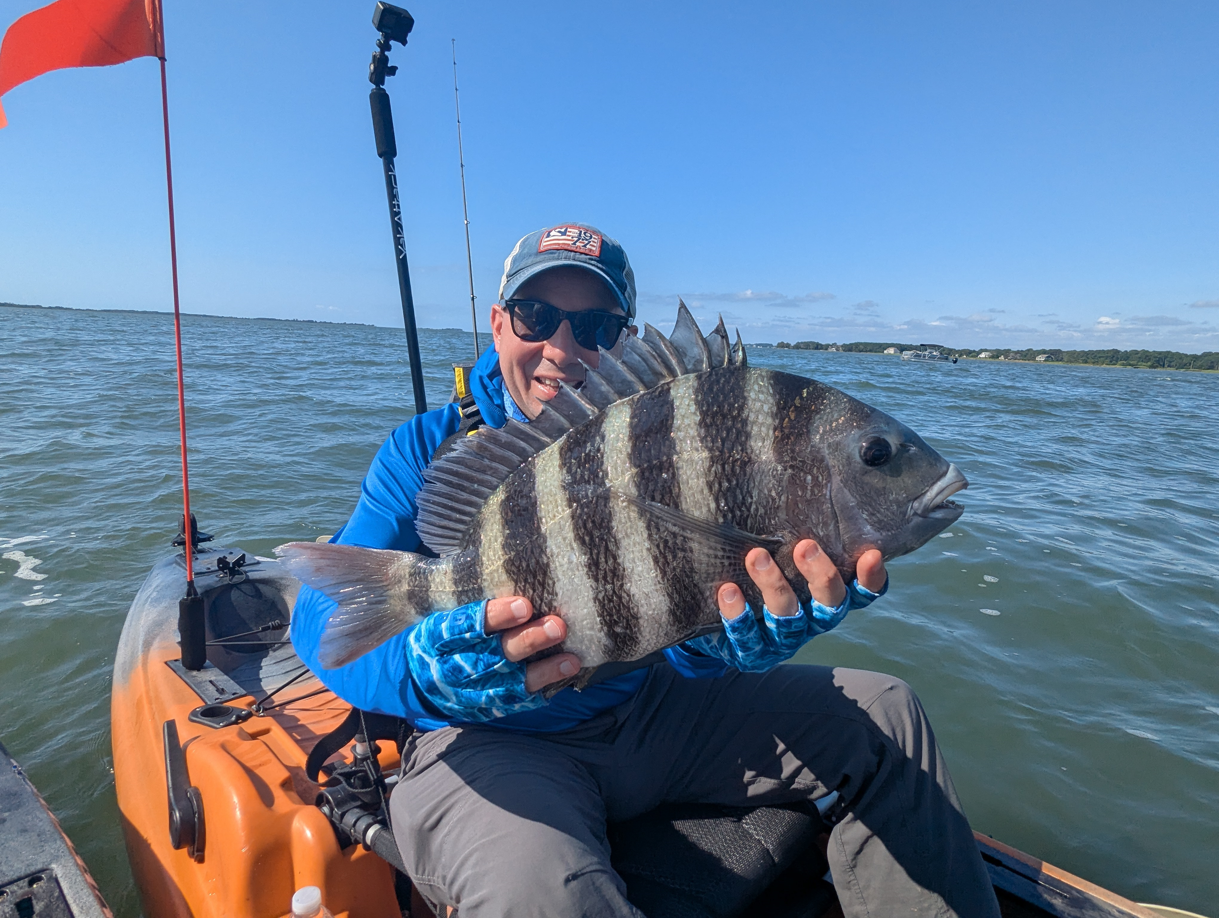 A man in a kayak holding a large striped fish, wearing sunglasses, a cap, and blue gloves on a sunny day on a body of water.