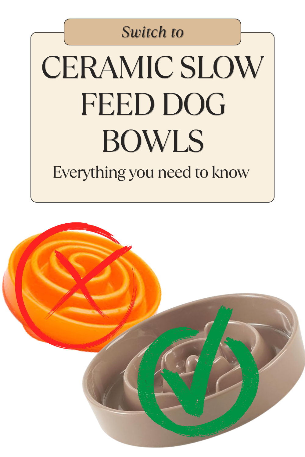 Ceramic Slow Feed Dog Bowls: Everything You Need to Know