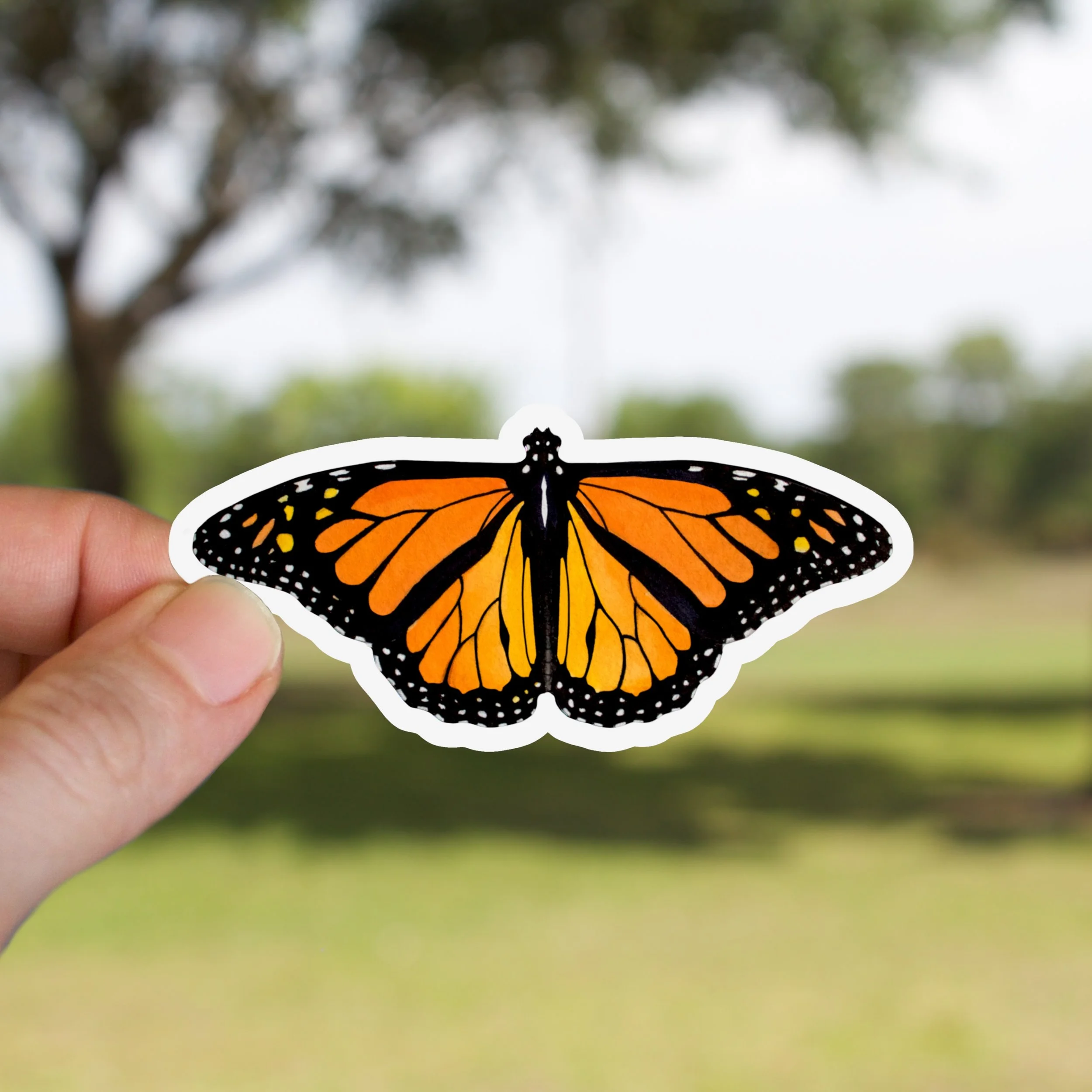 Monarch Butterfly Sticker (wings down)
