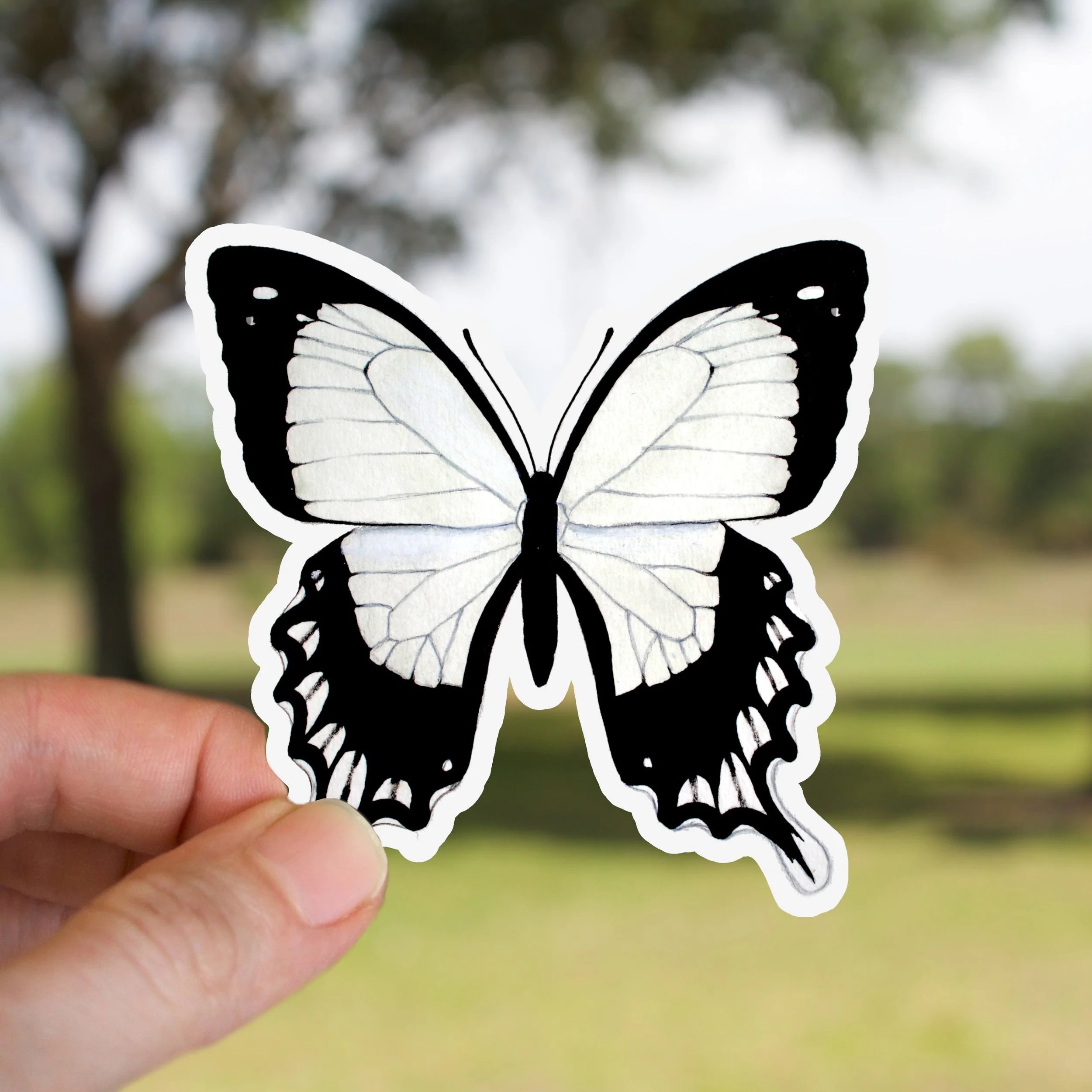 White Swallowtail Butterfly Sticker