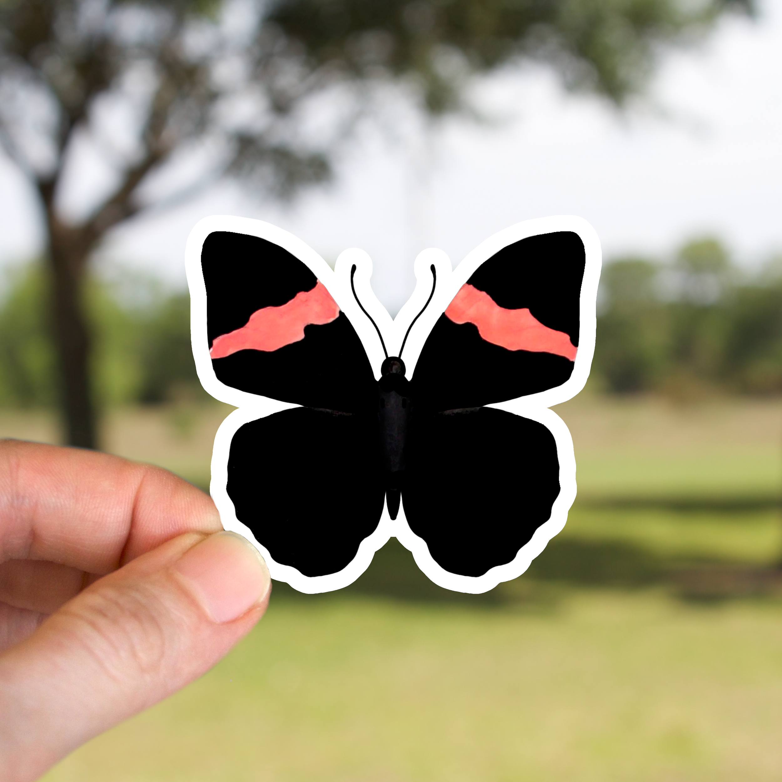 Lara Sister Butterfly