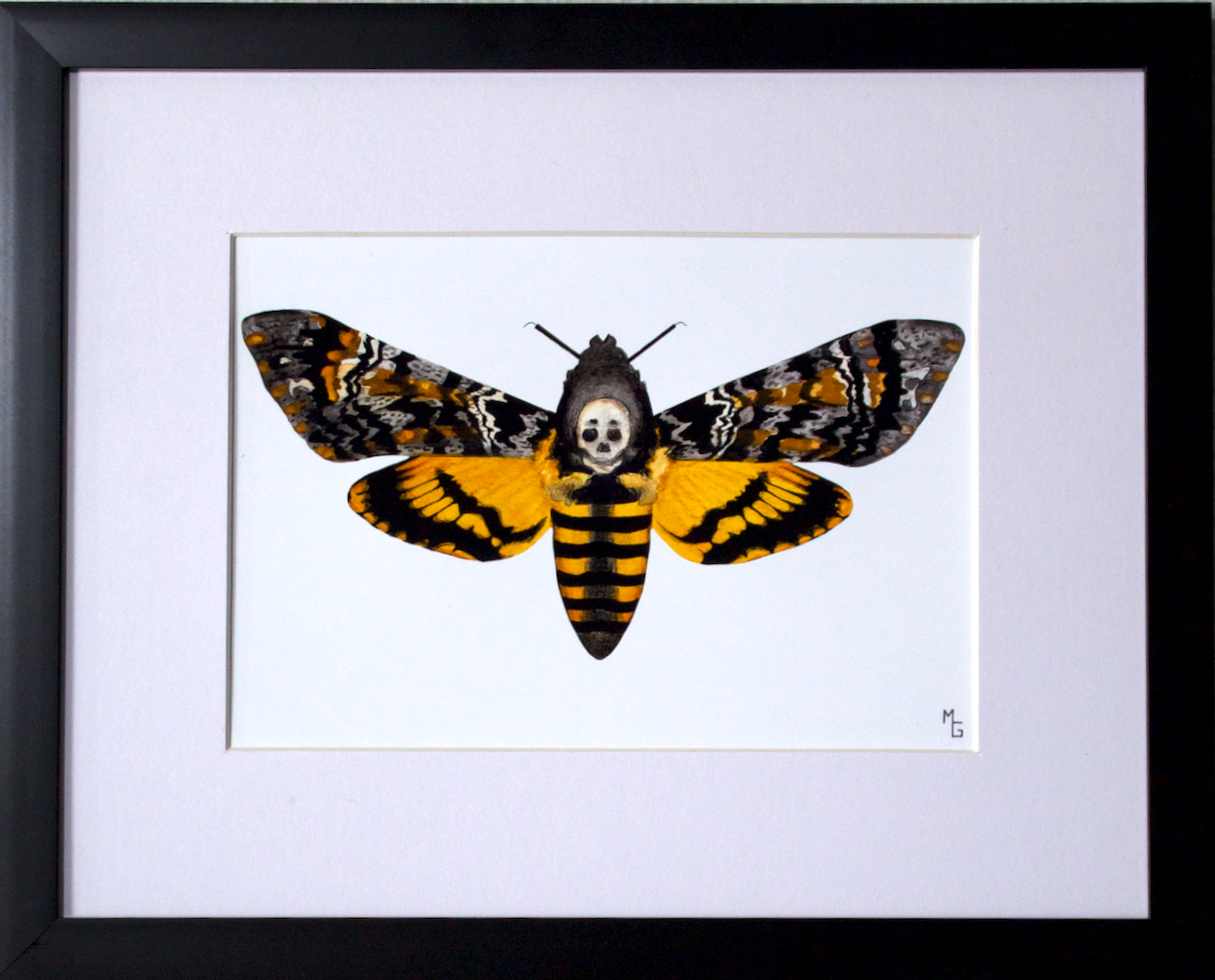 Screenshot 2026-02-27 at 8.03.03 PM copy.png