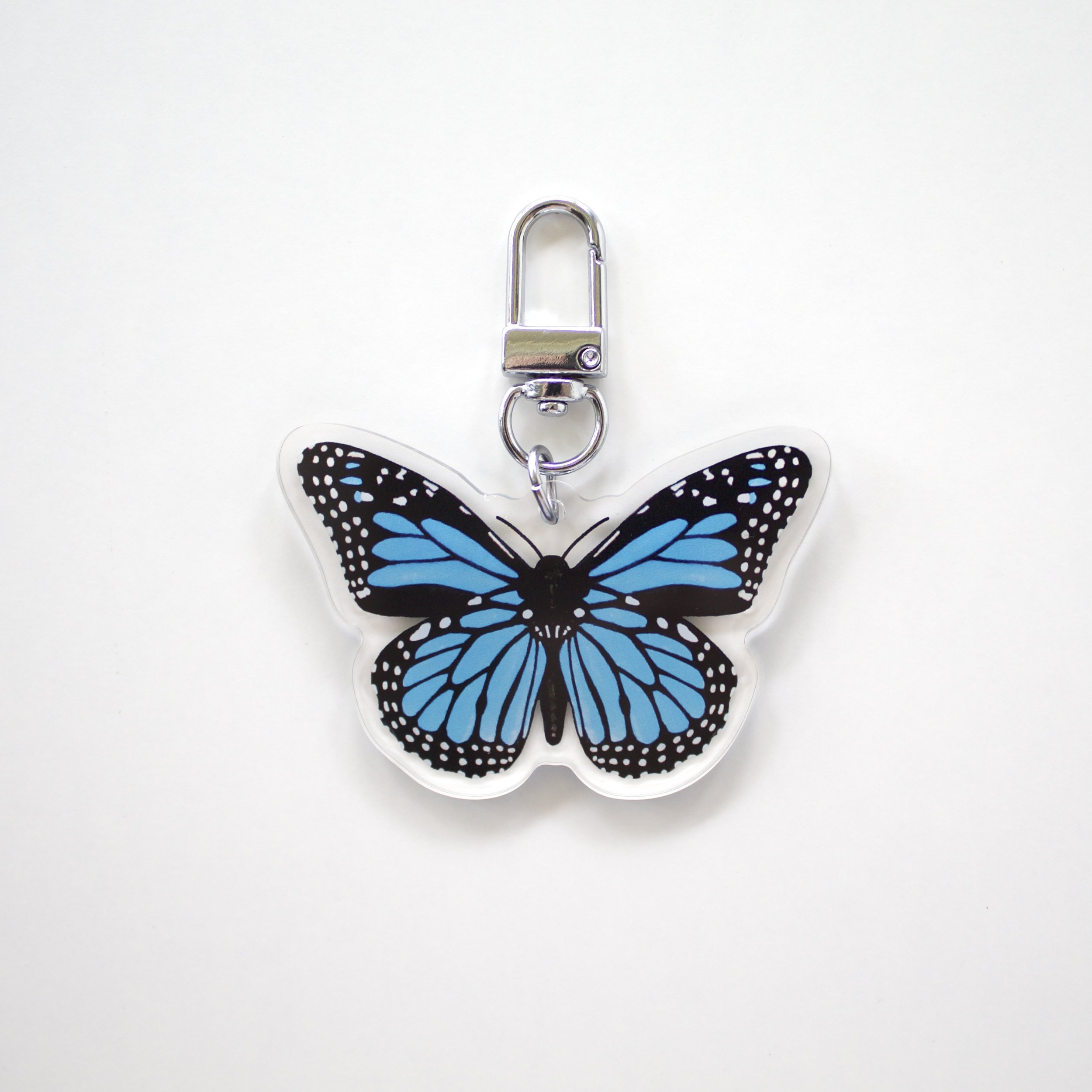 1.monarch-blue-on-whiteIMG_0767.jpg