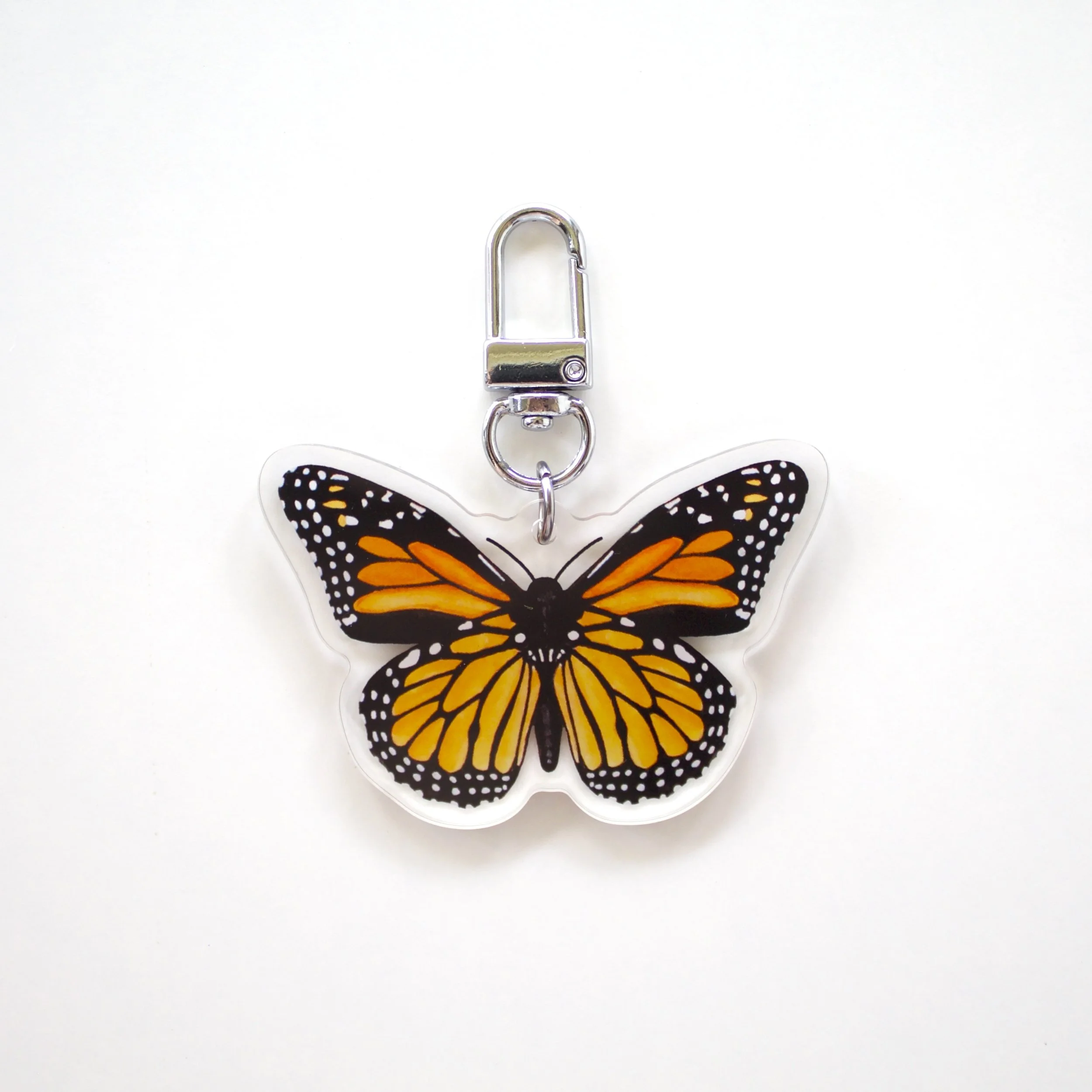 1.monarch-orange-on-white_0780.jpg