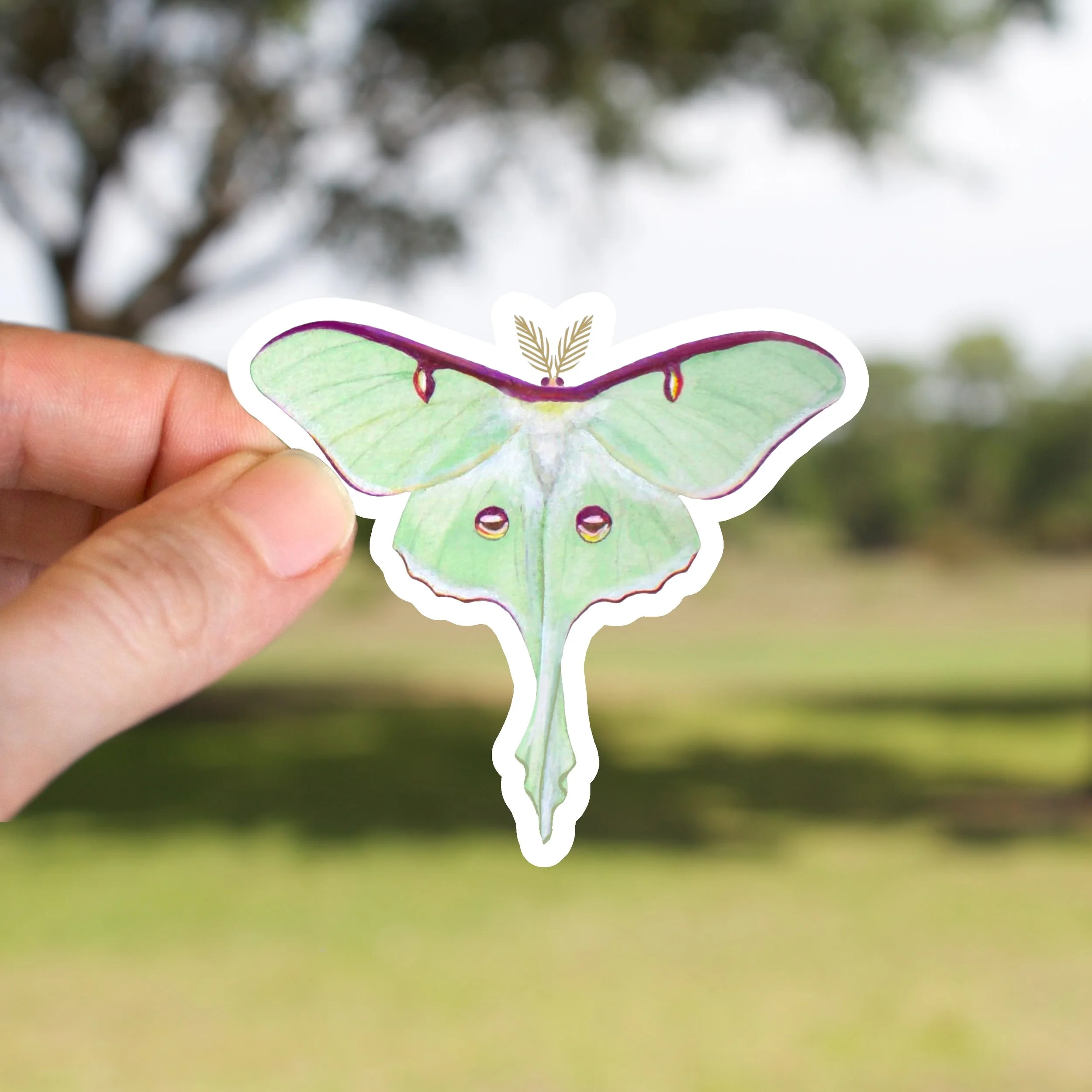 Luna Moth Sticker