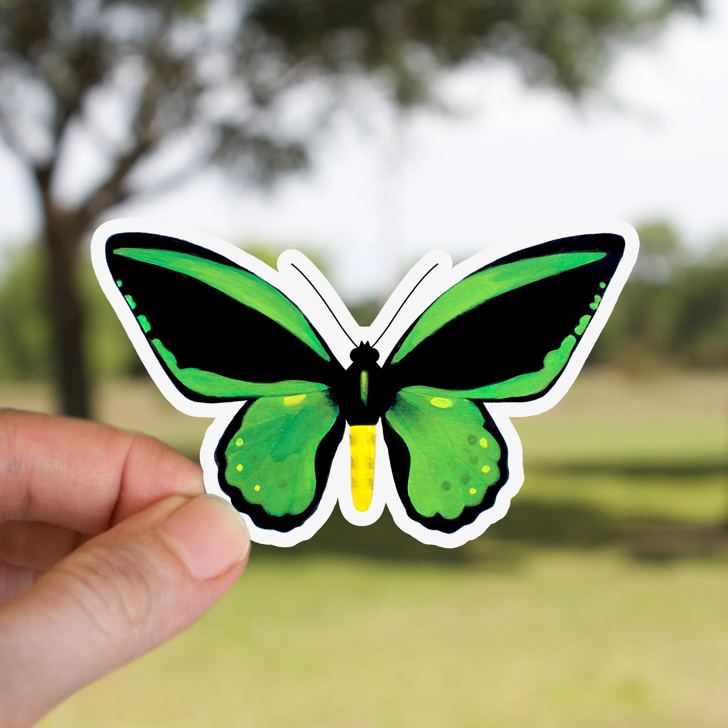 Green Common Birdwing Butterfly Sticker
