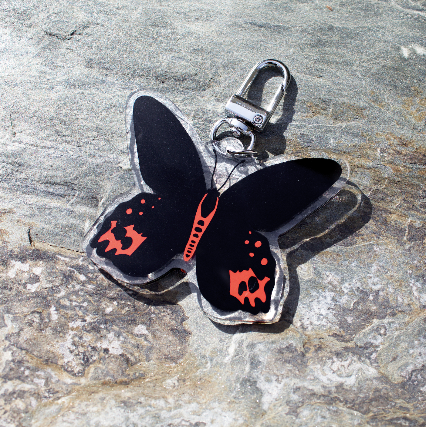 Vampire Butterfly