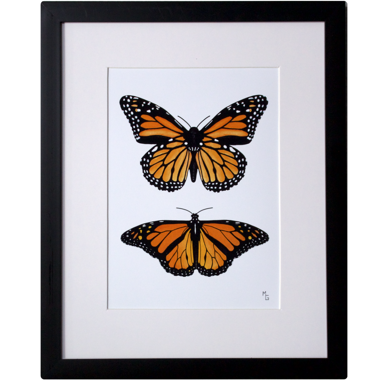 “Monarch Butterflies” Print